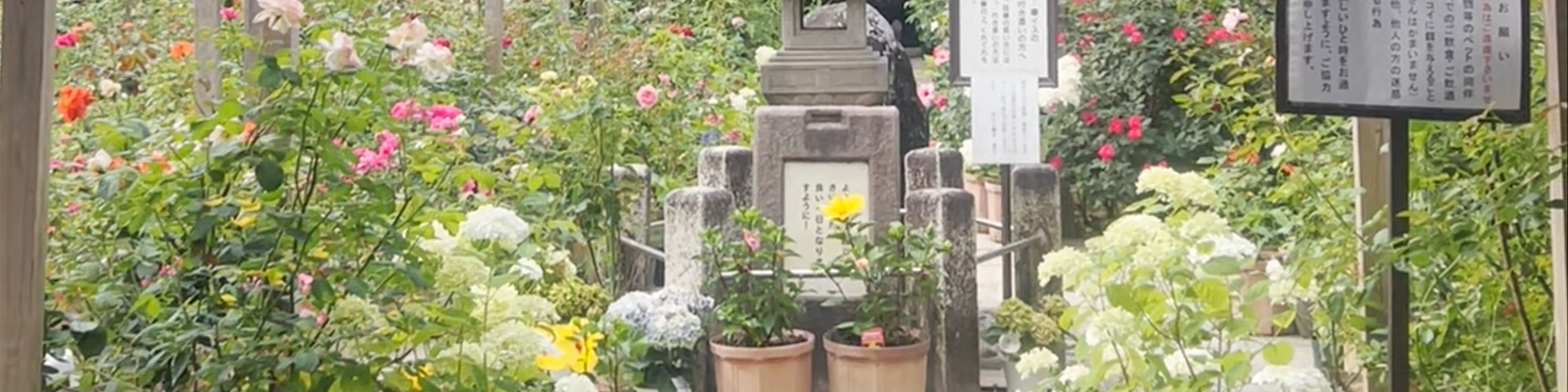 Ofusa Kannon Temple