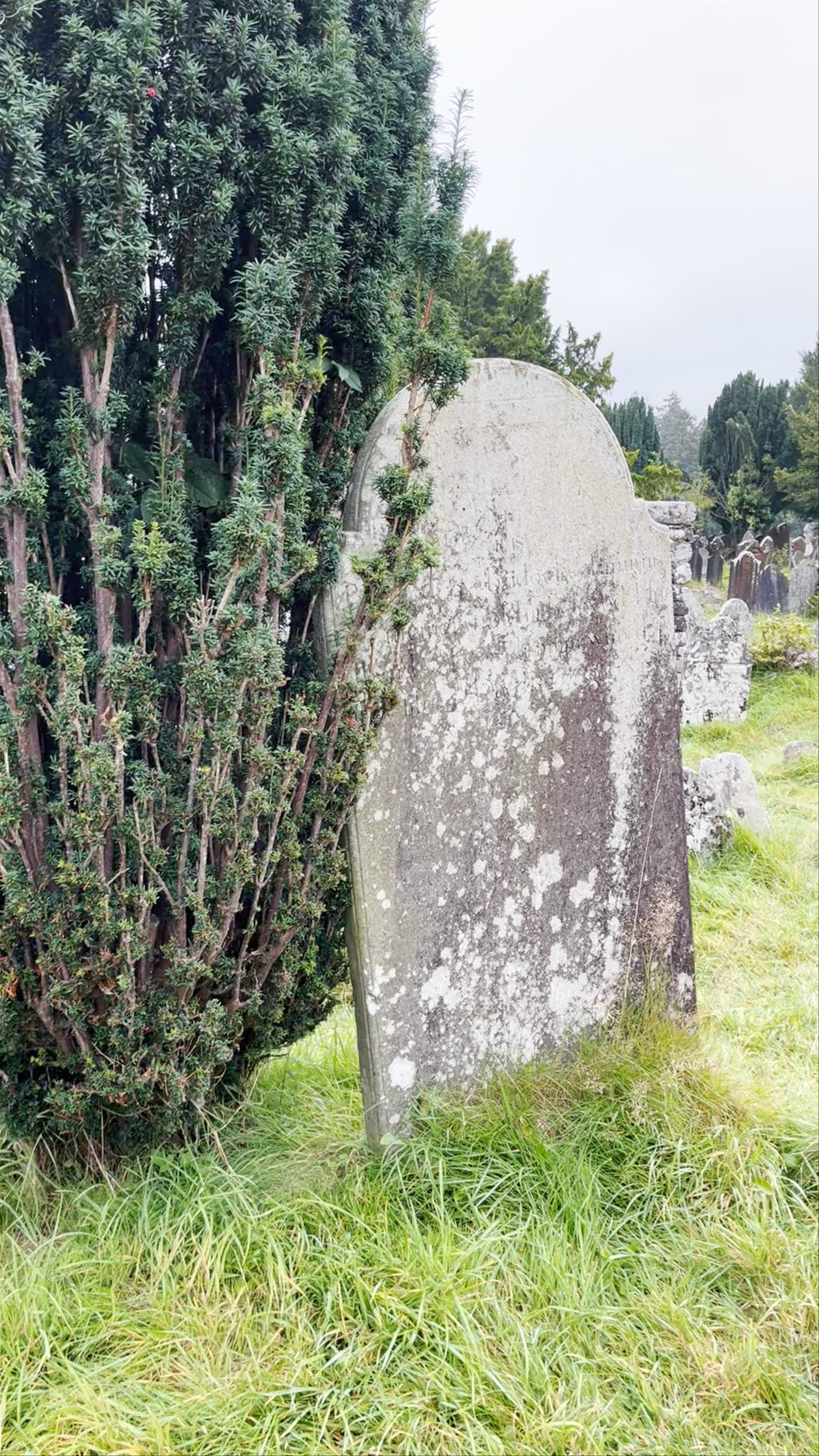 Glendalough Visitor Centre