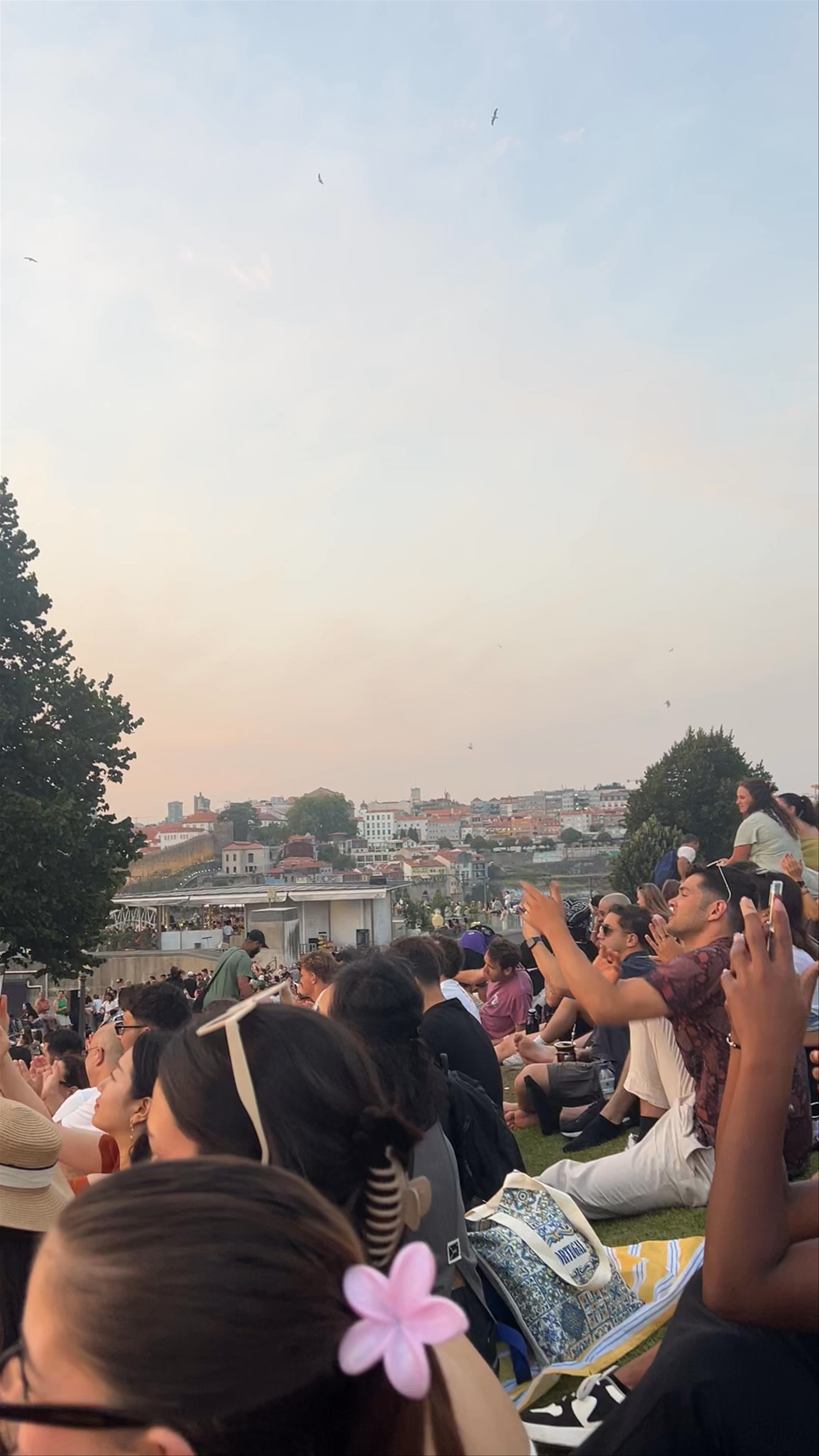 Jardim do Morro