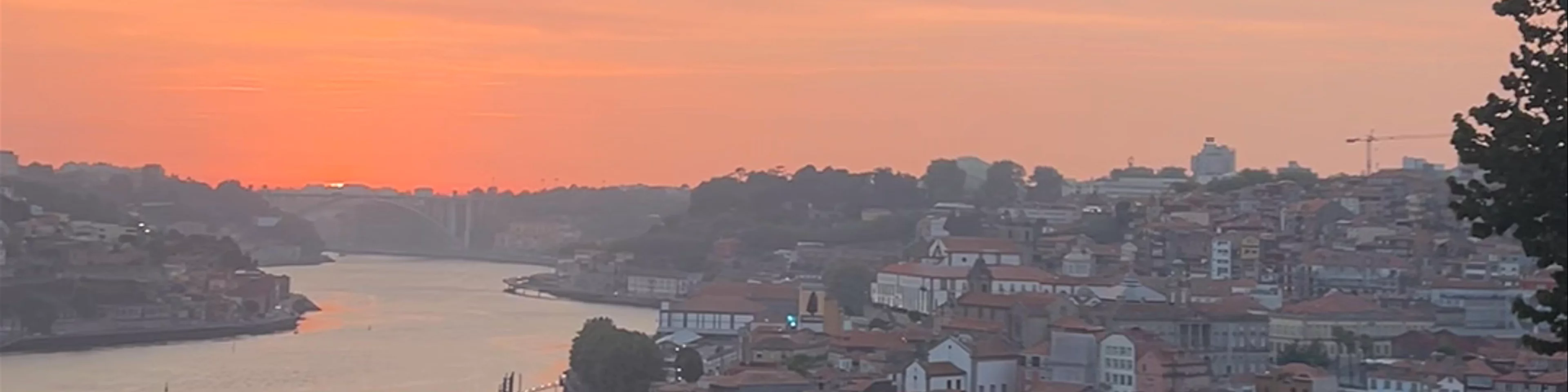 Jardim do Morro