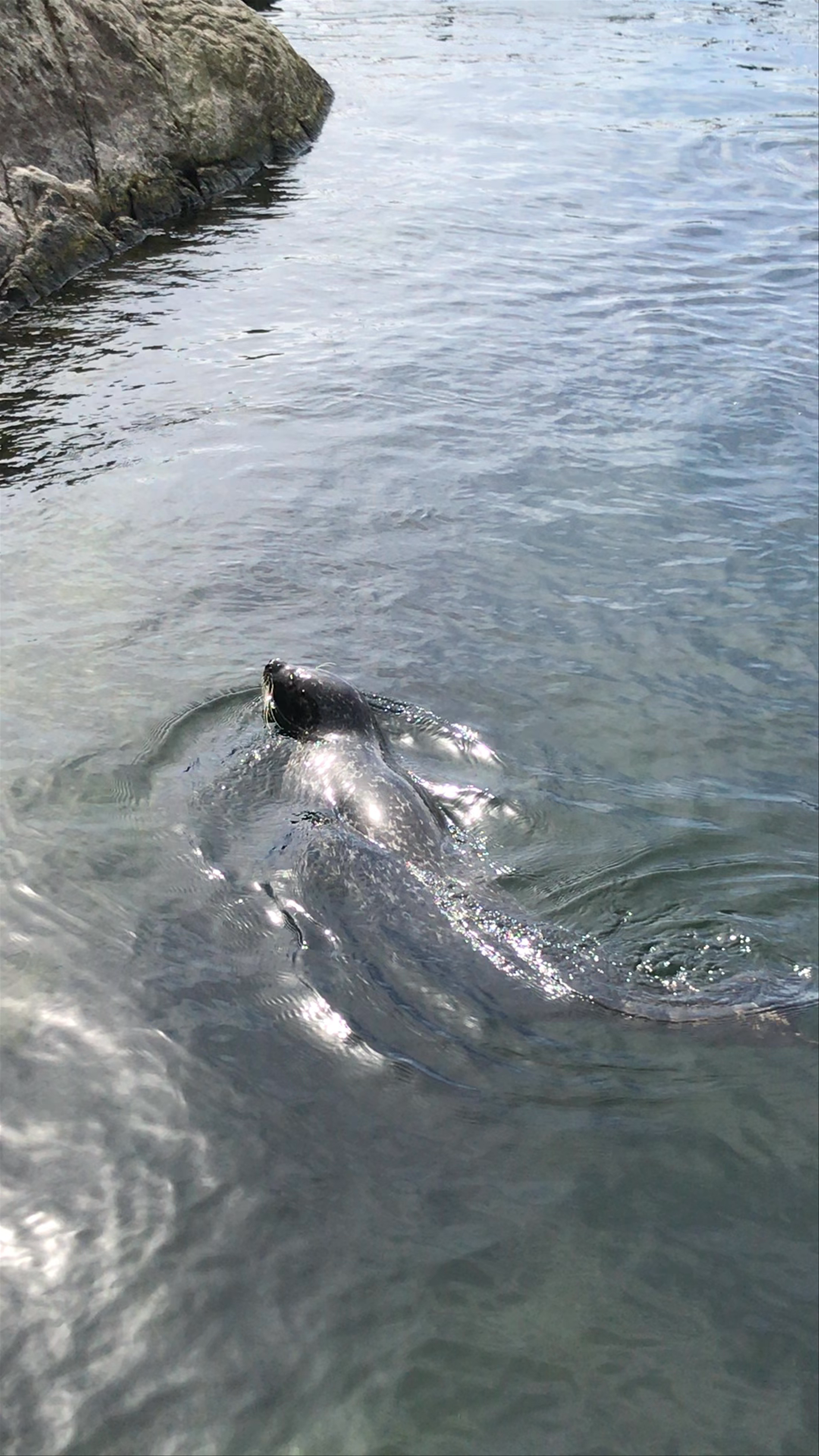 Lofoten Aquarium