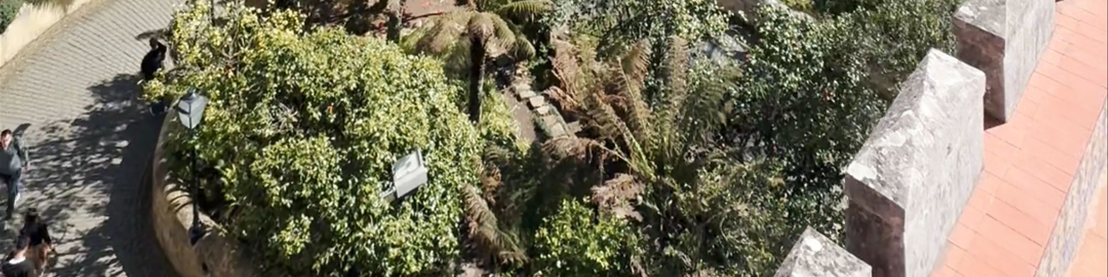 Parques de Sintra Cafeterias