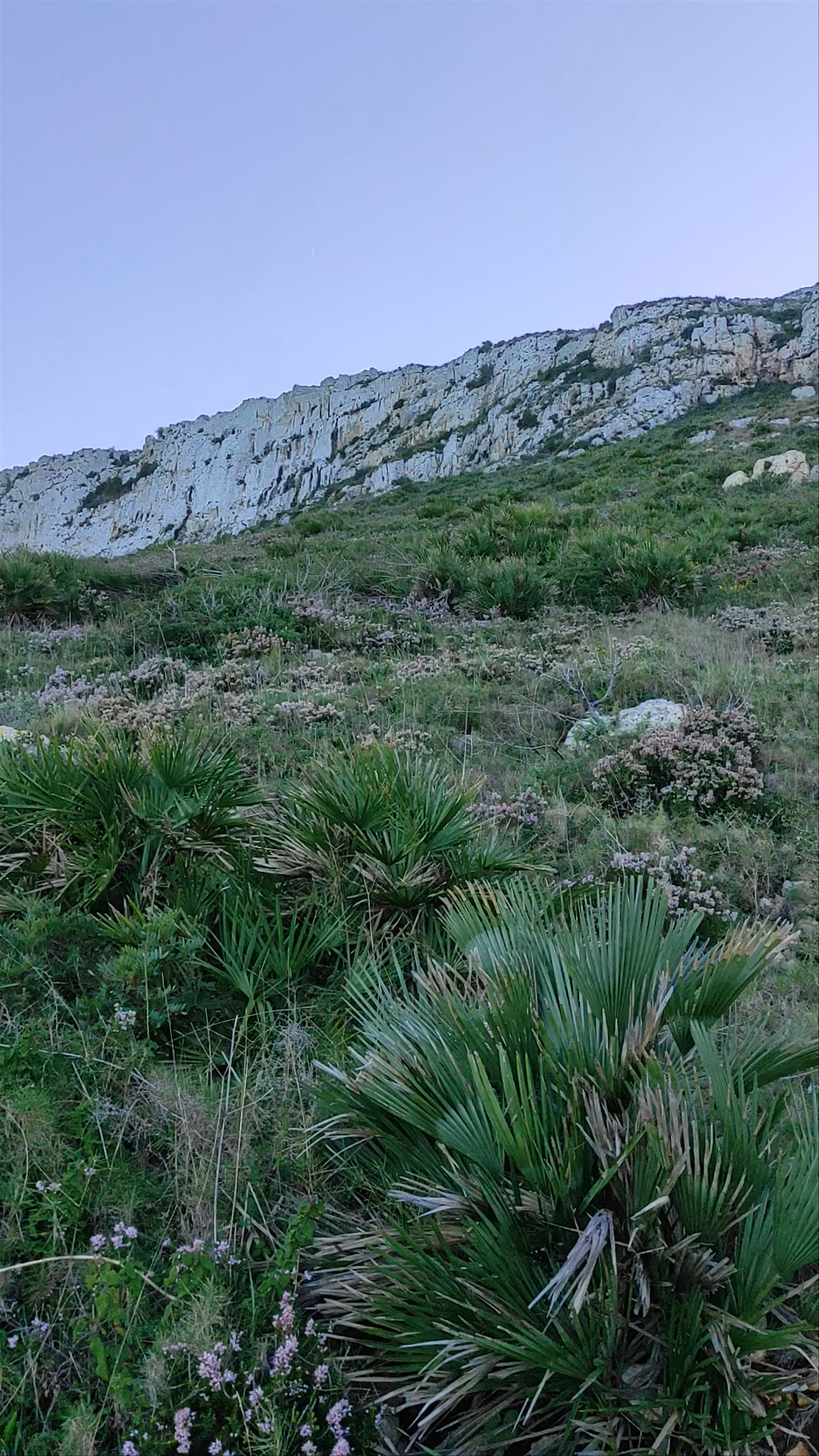 Cova Tallada Coastal Hike: Nature’s Hidden Gem in Comunidad Valenciana, Spain