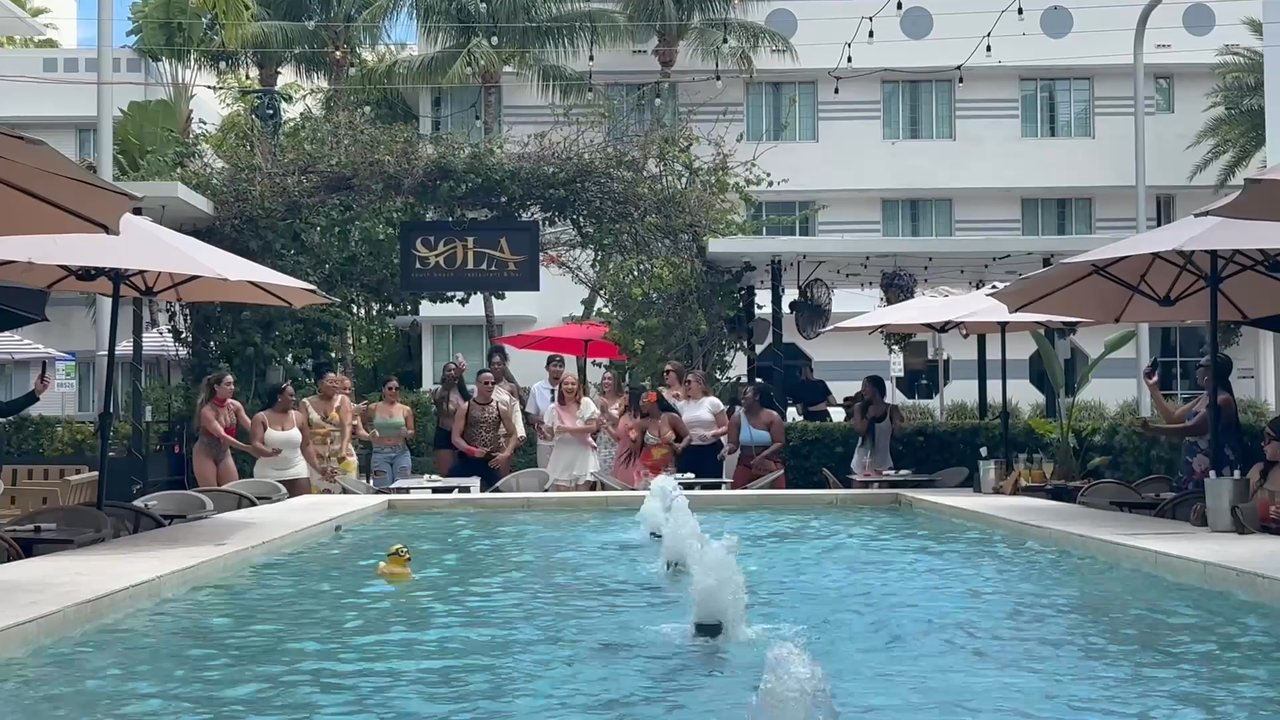 Sola - Miami baby! - Breakfast & Brunch Near Me - Miami Beach, Florida