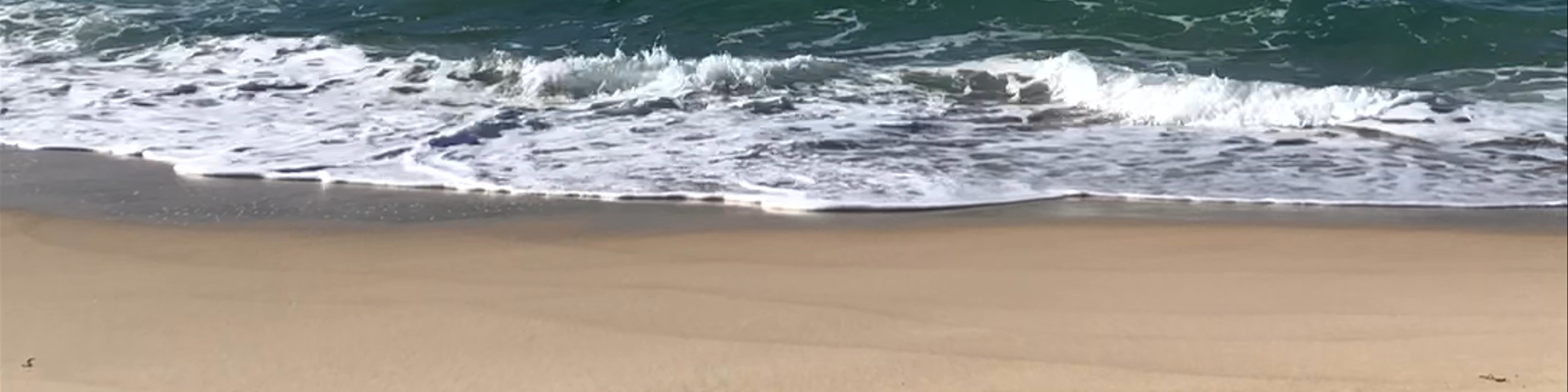 Forster