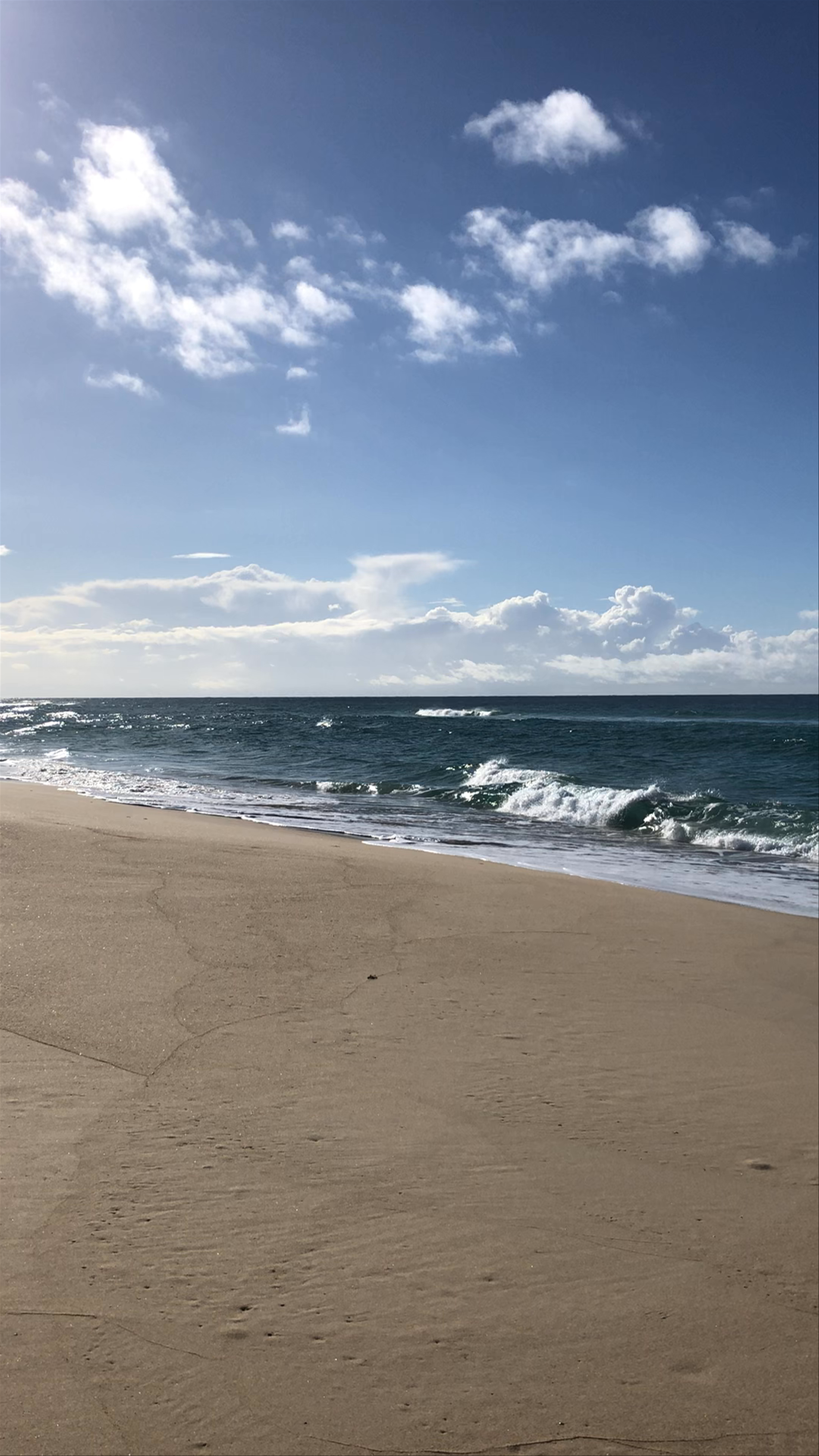 Serene Coastal Escape at Booti Booti National Park