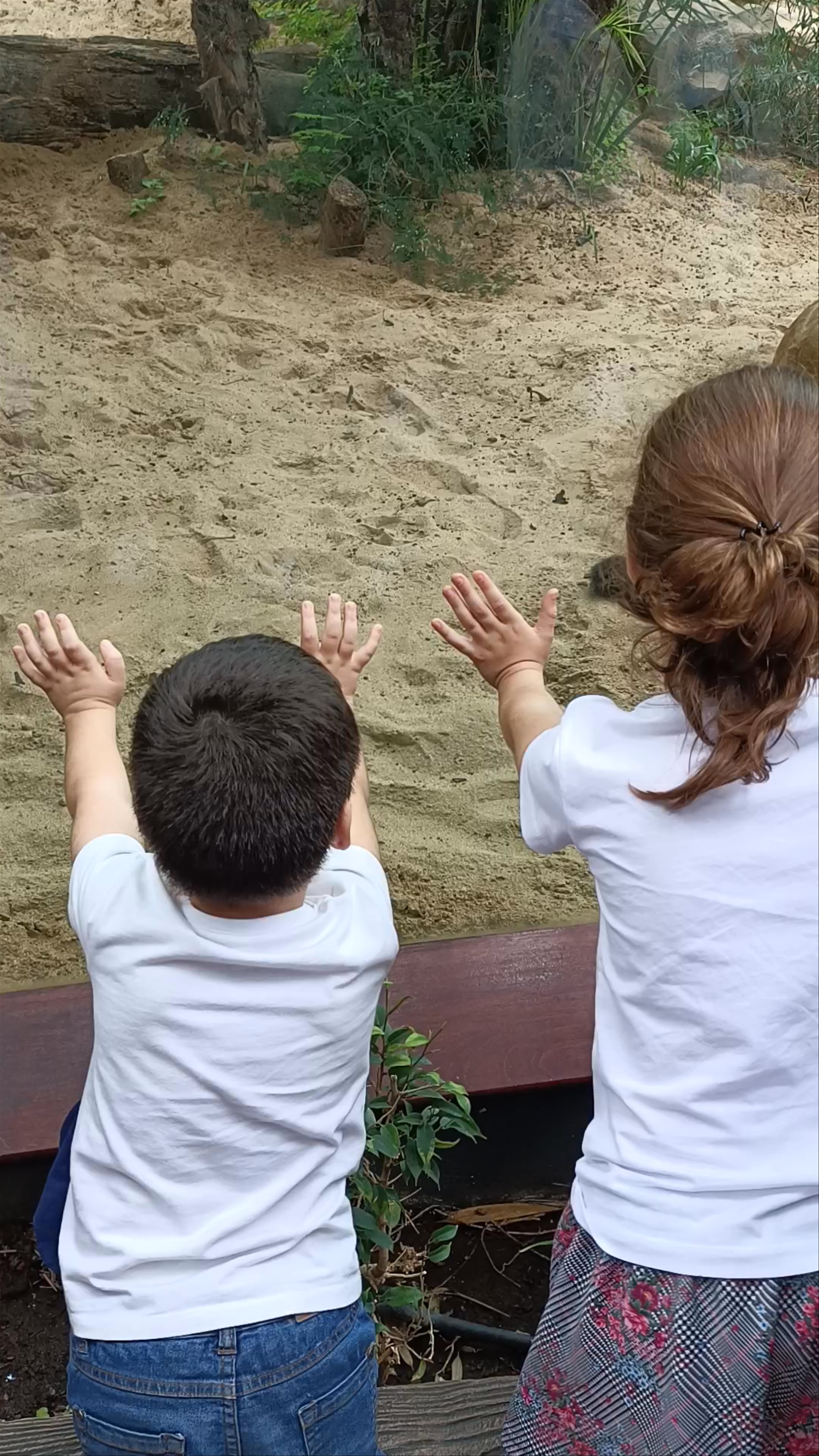 Animal Embassy at Loro Parque: Family Safari in Puerto de la Cruz