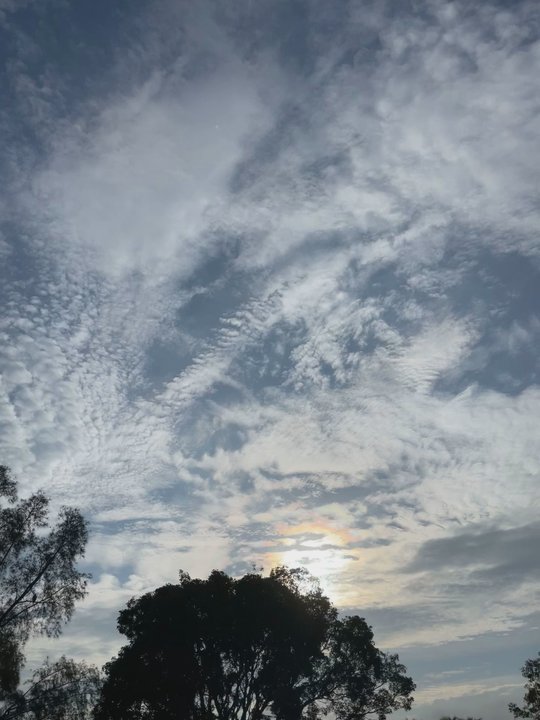 Tropical Park - Parks Near Me - Miami, Florida