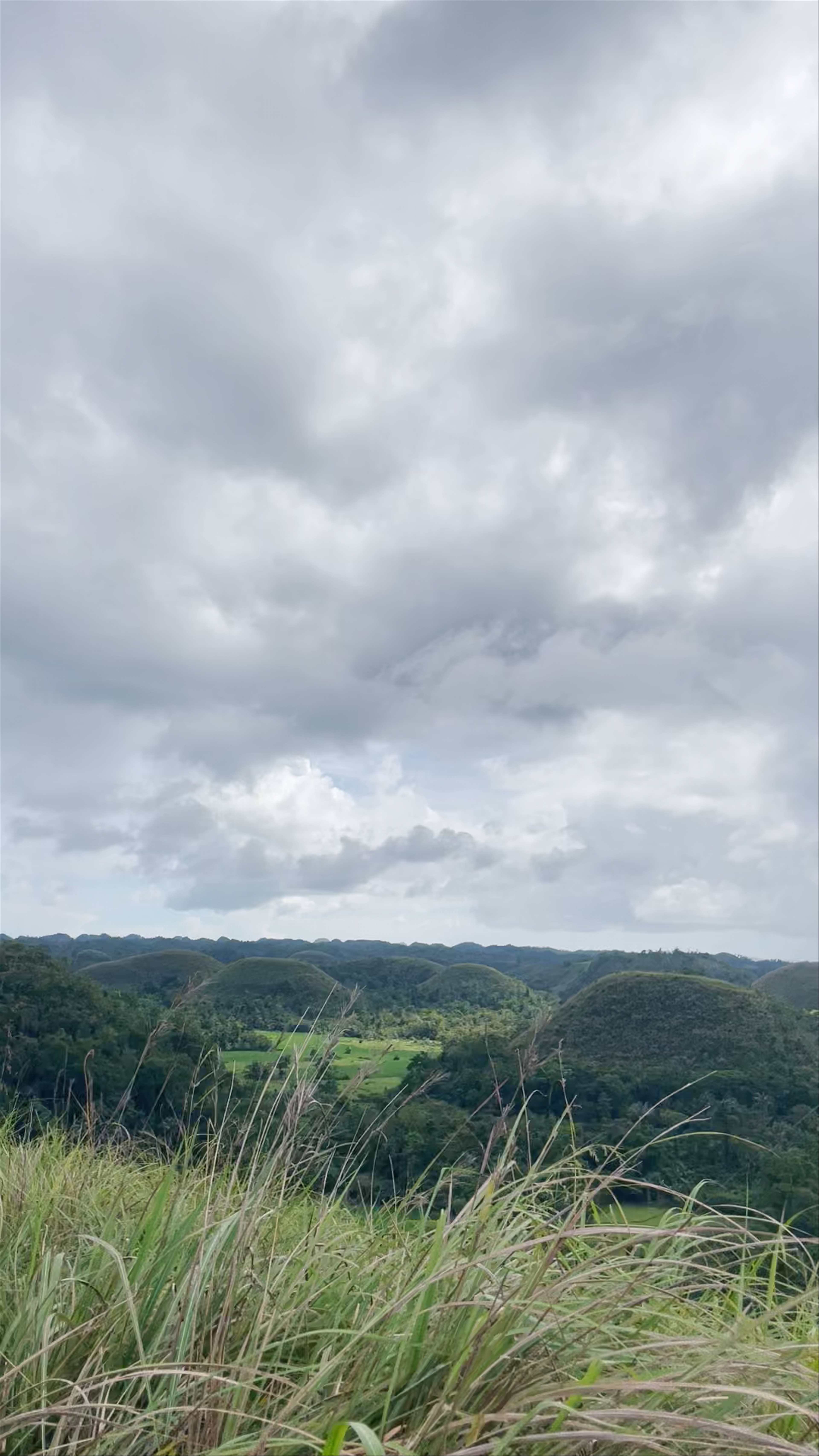 Chocolate Hills Natural Monument