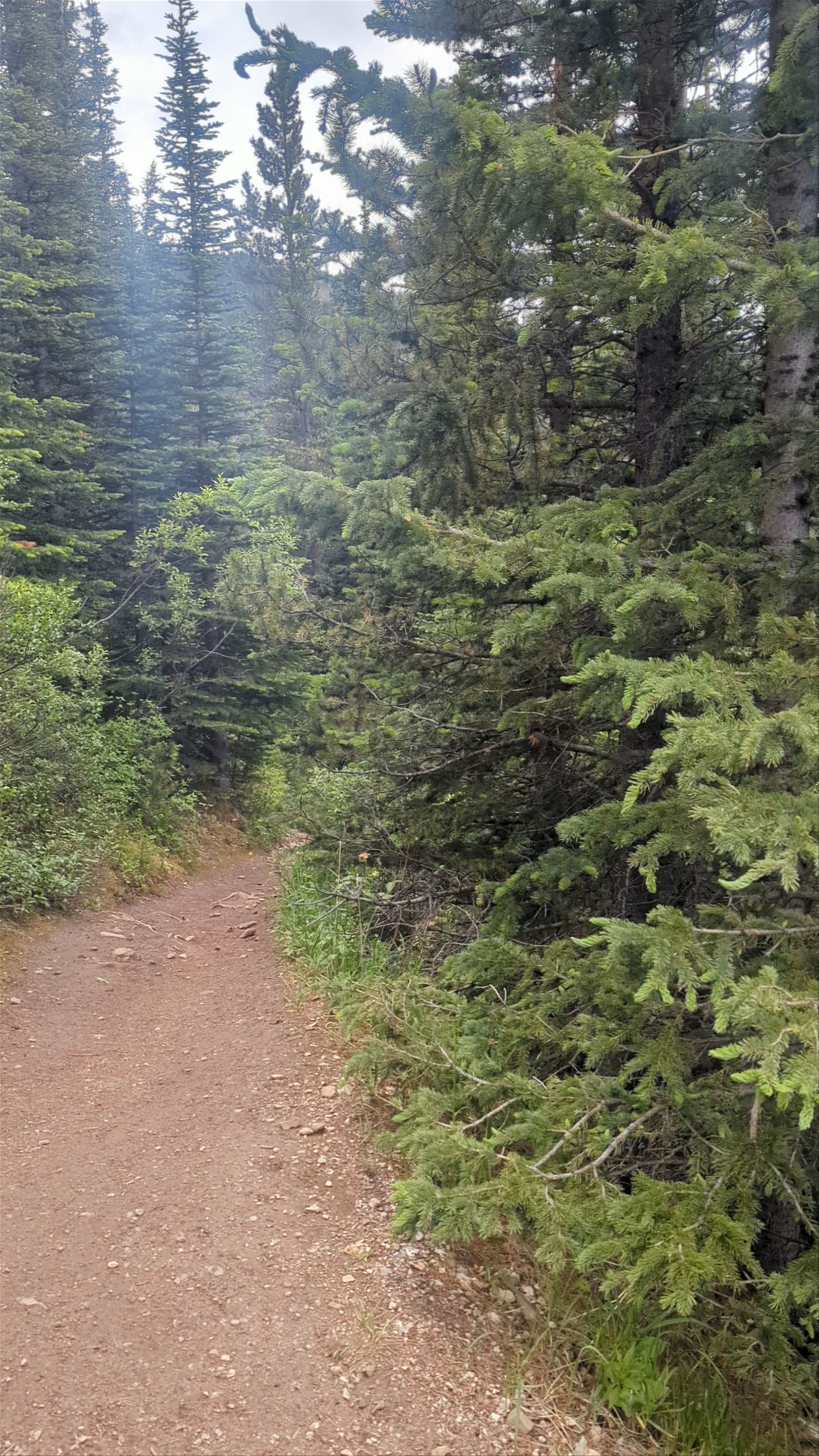 Sulphur Skyline Trailhead