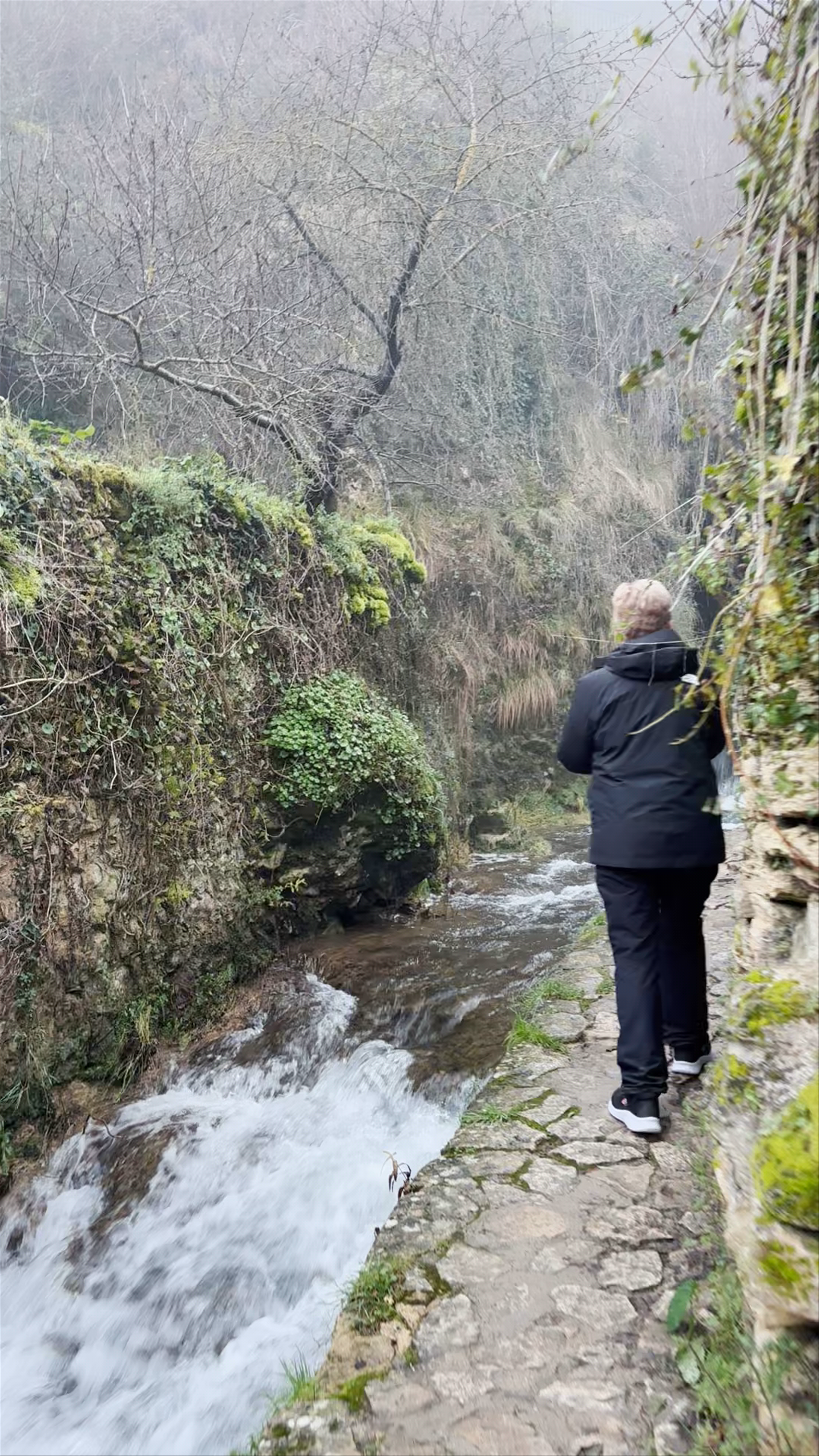 TOBERA - Burgos