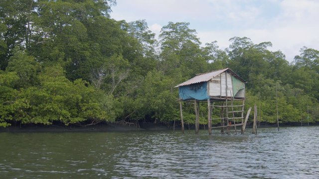 Shack above the river