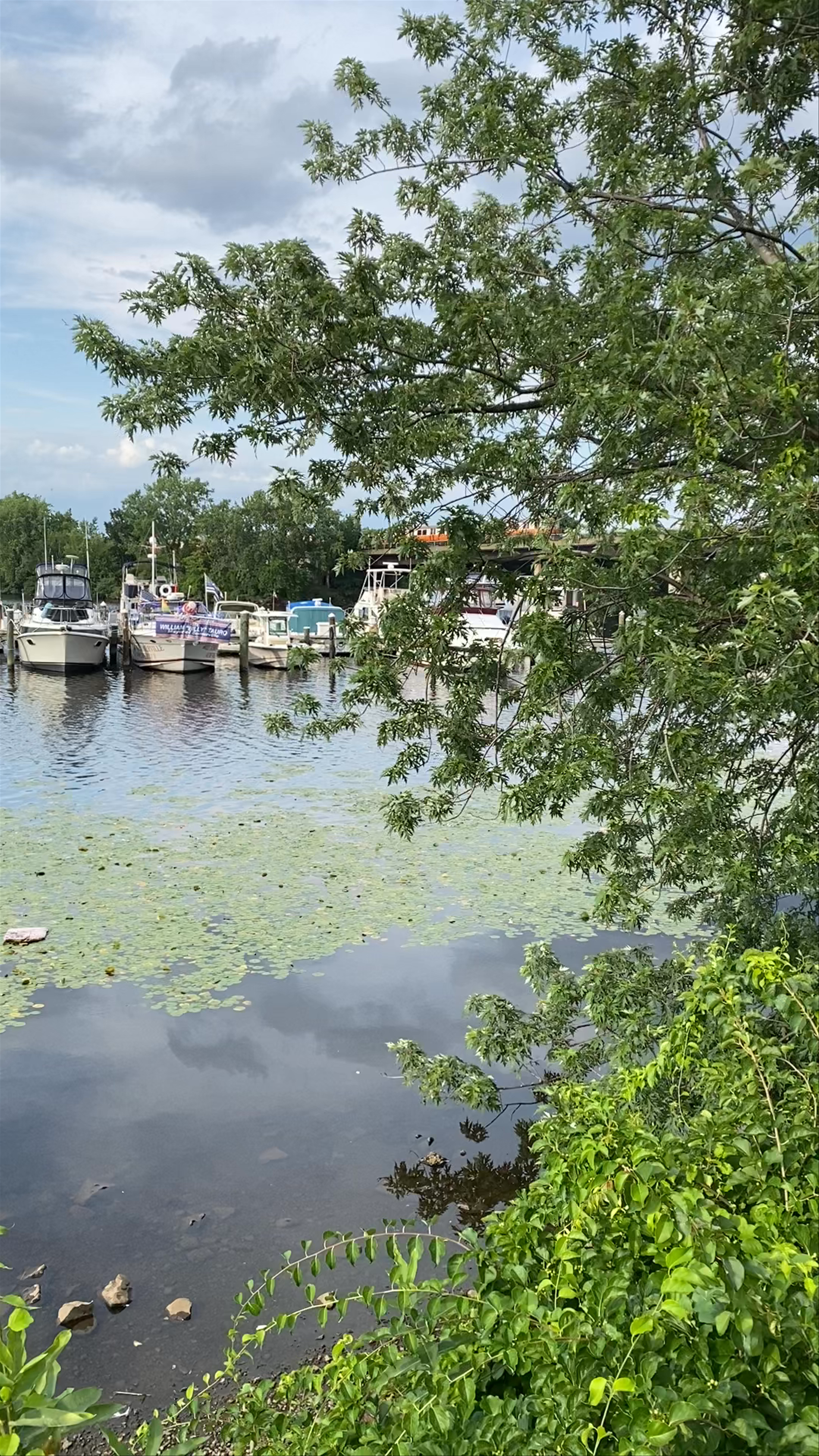 Mystic Wellington Yacht Club
