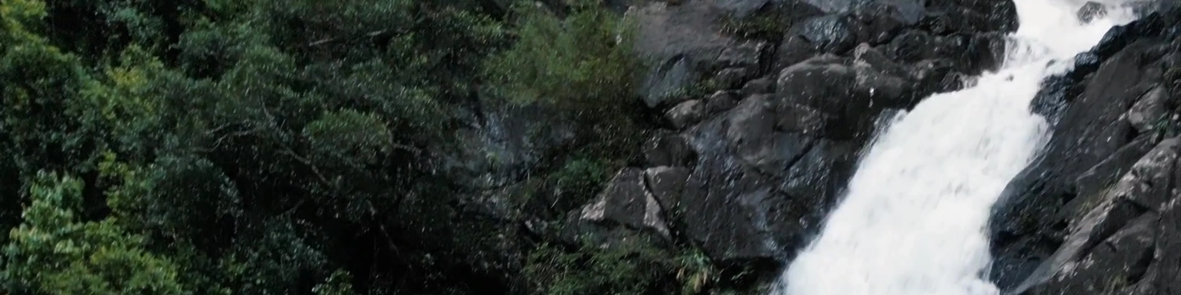 Wang Chung Stream