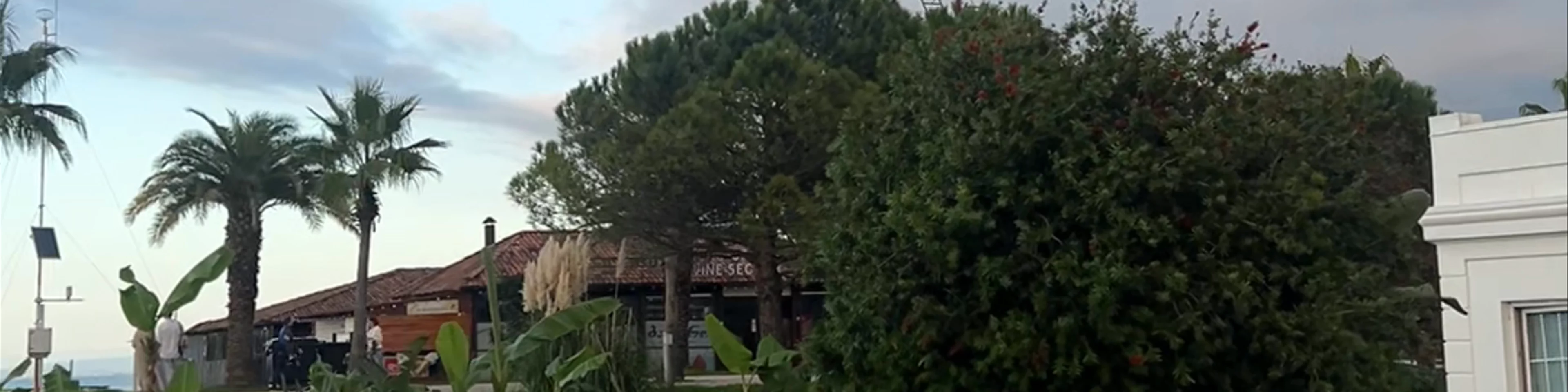Miracle Park