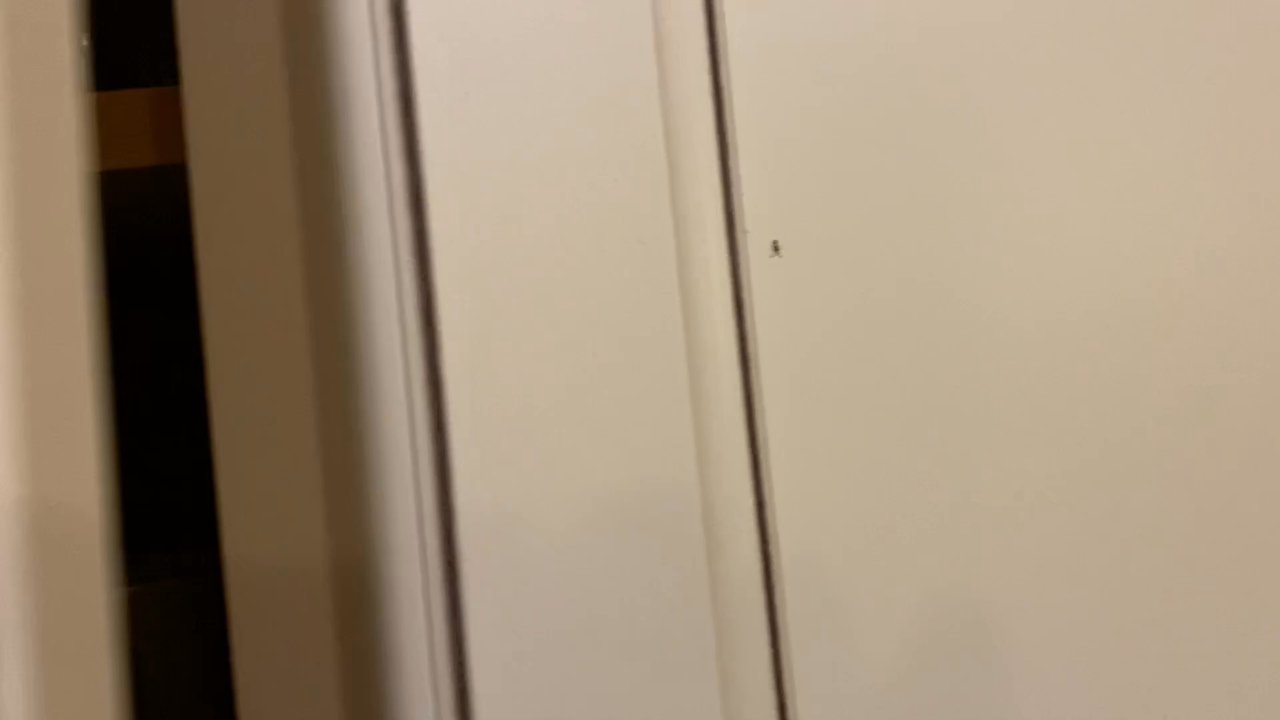 First Flight Rentals - Video of ants in kitchen and cabinet - we were told ants happen - we say not if the unit is maintained and have proper pest services. - Vacation Rentals Near Me - Kill Devil Hills, North Carolina
