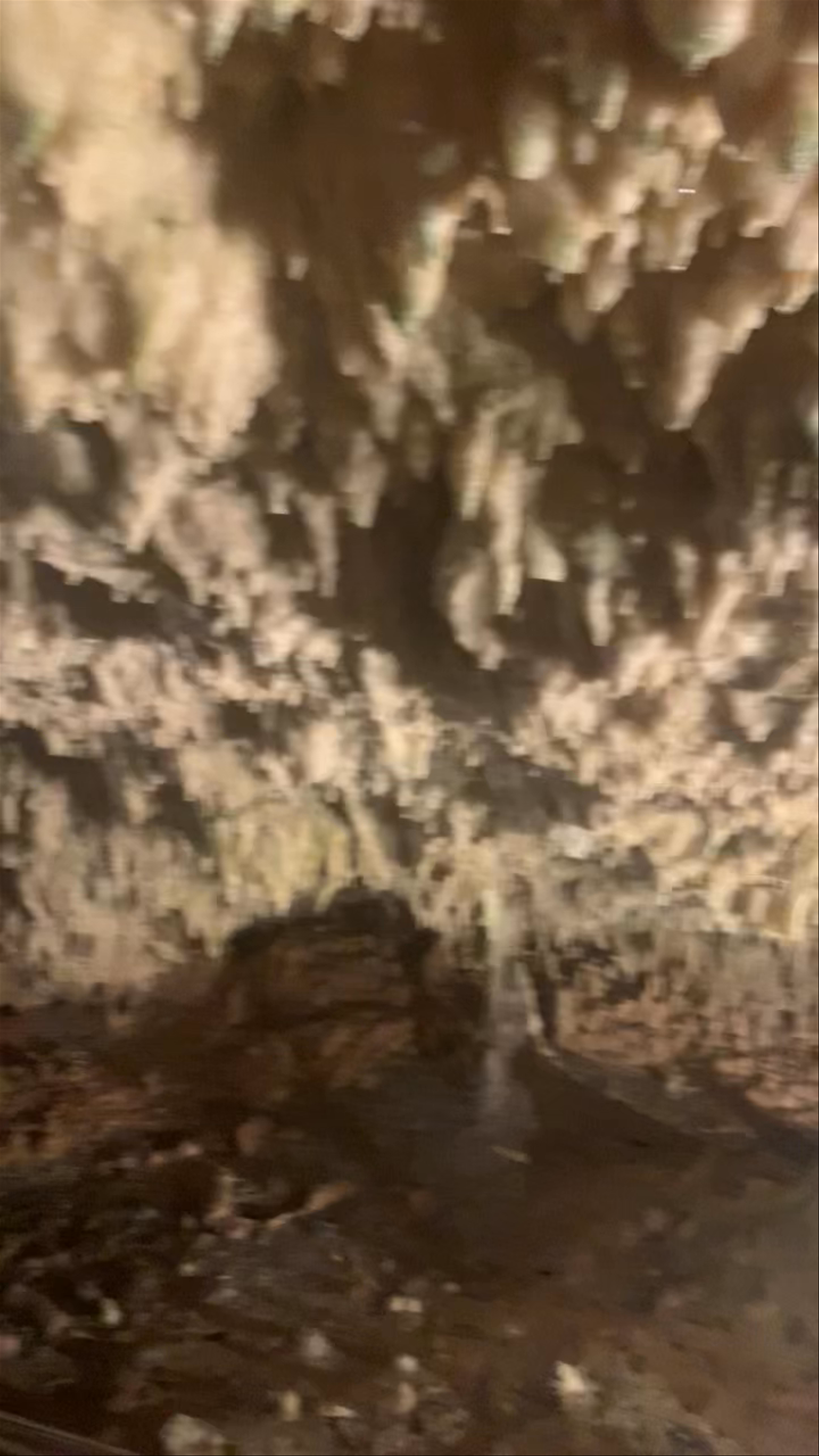 Caves of Diros