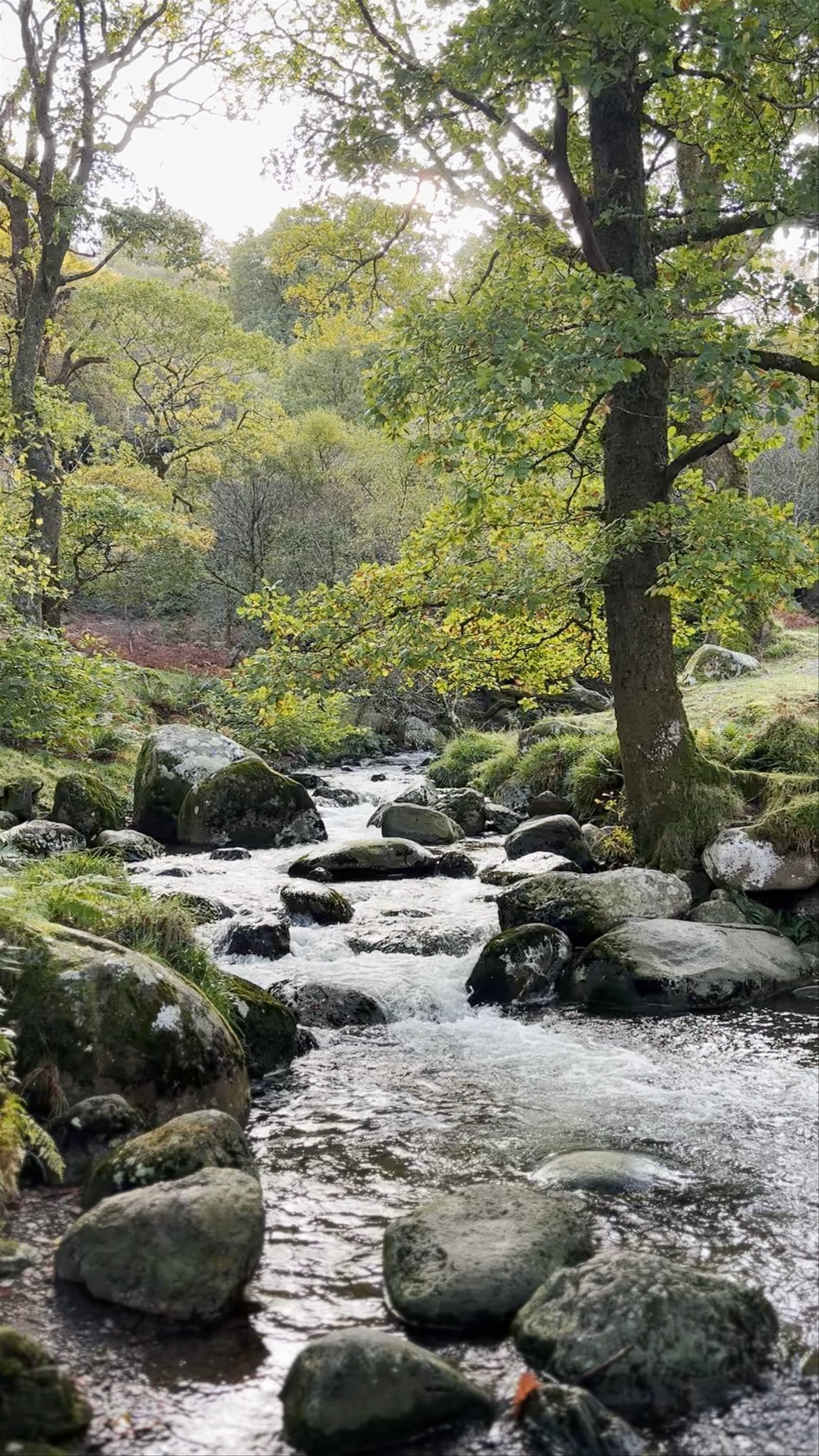 Glendalough Upper Lake