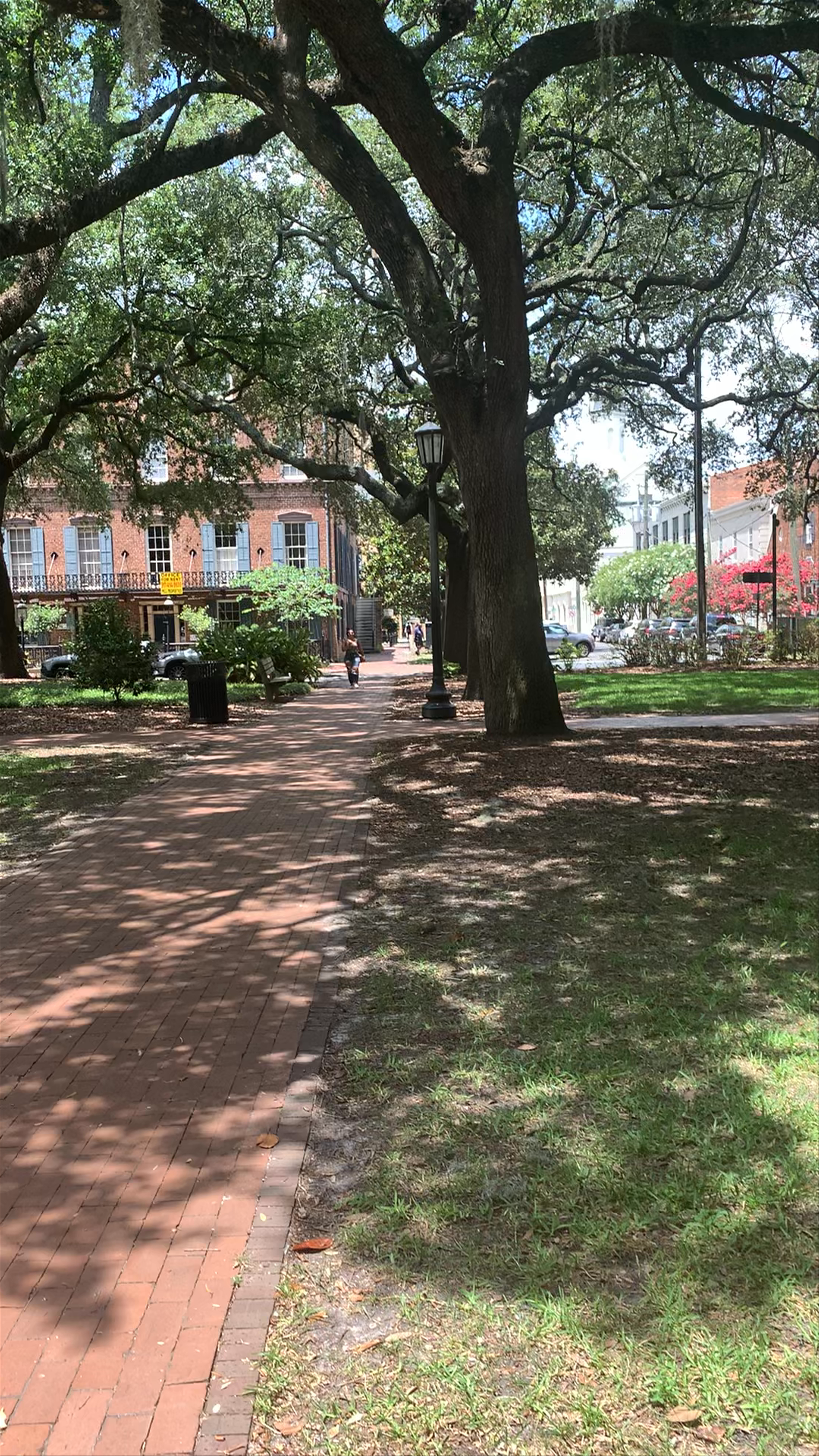 Oglethorpe Square