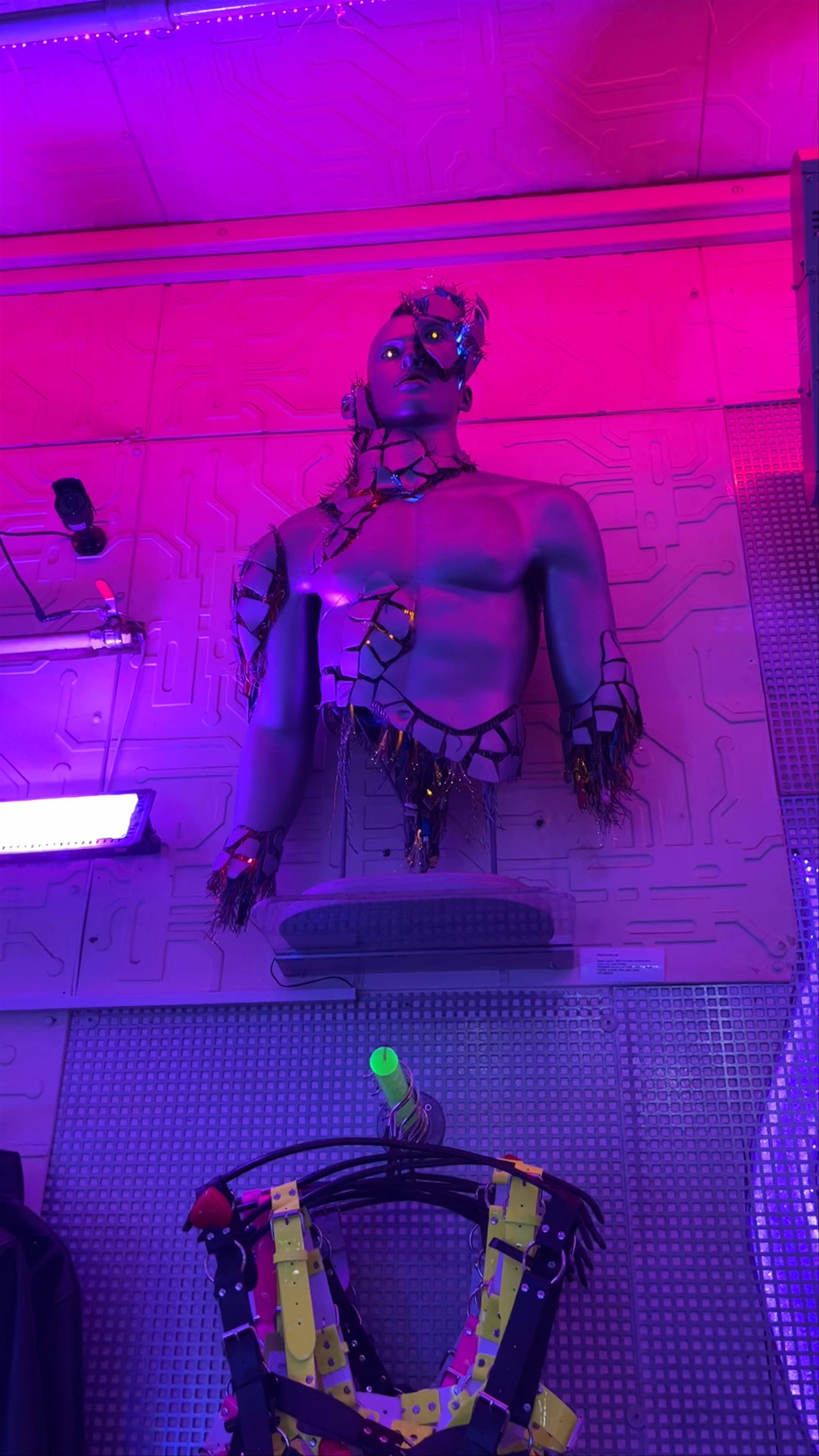 Cyberdog