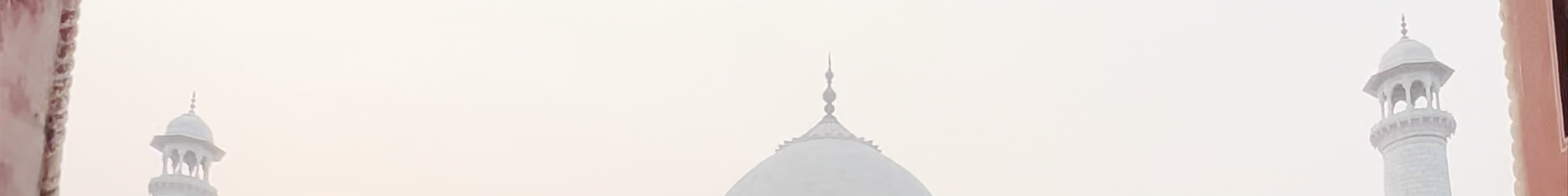 Tours & experiences in Delhi