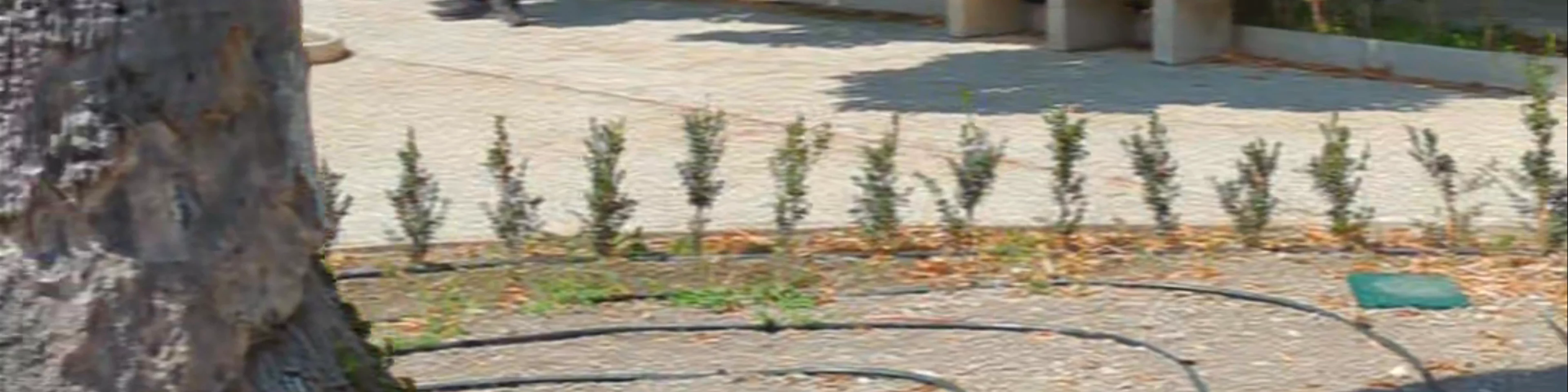 Giardino Ibleo