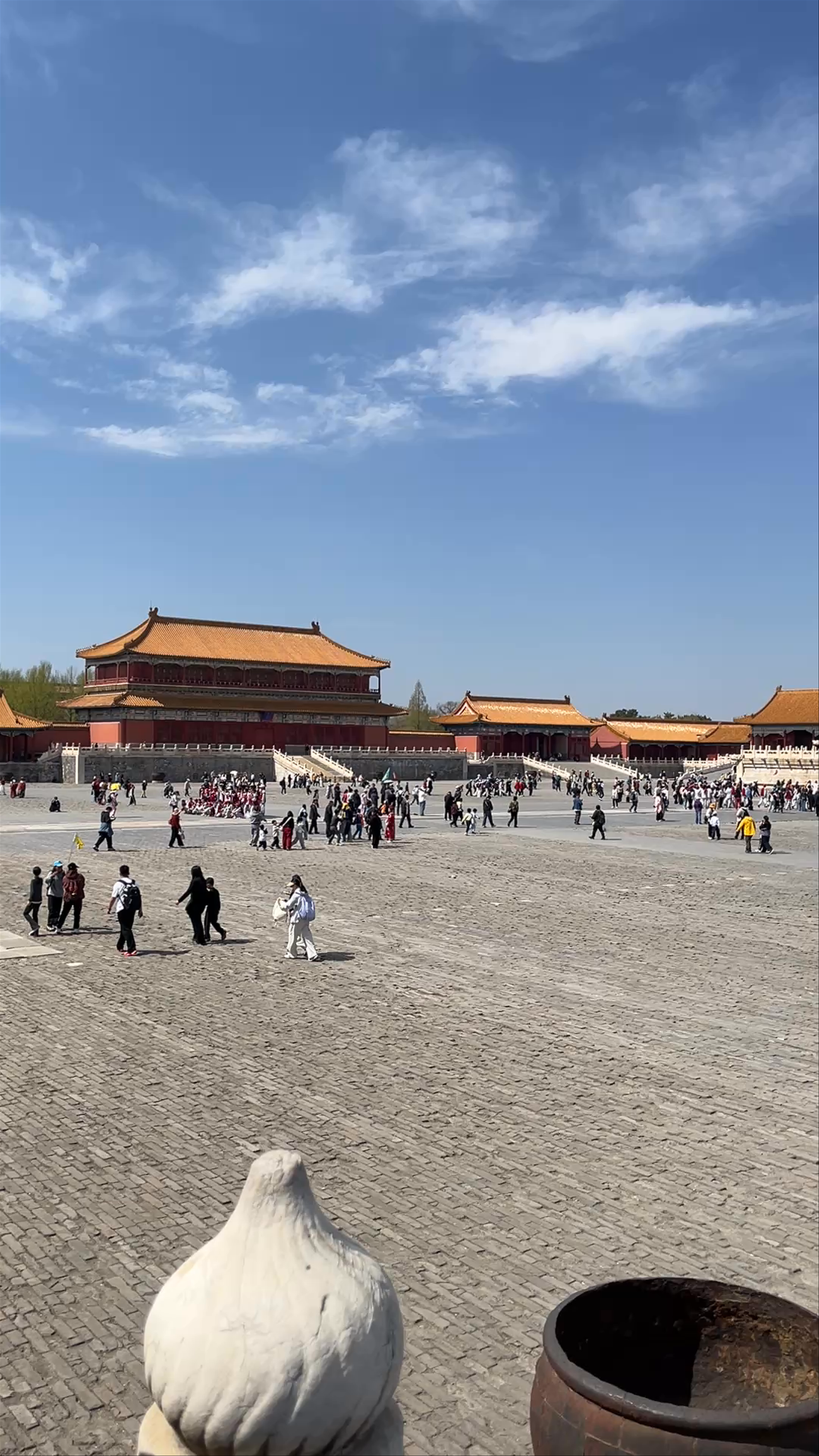 The Palace Museum