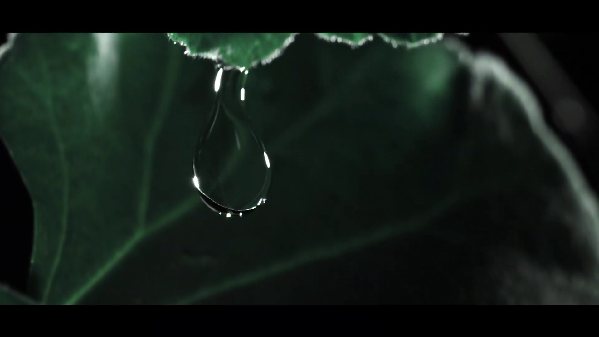 Tom Ford “Beau De Jour”