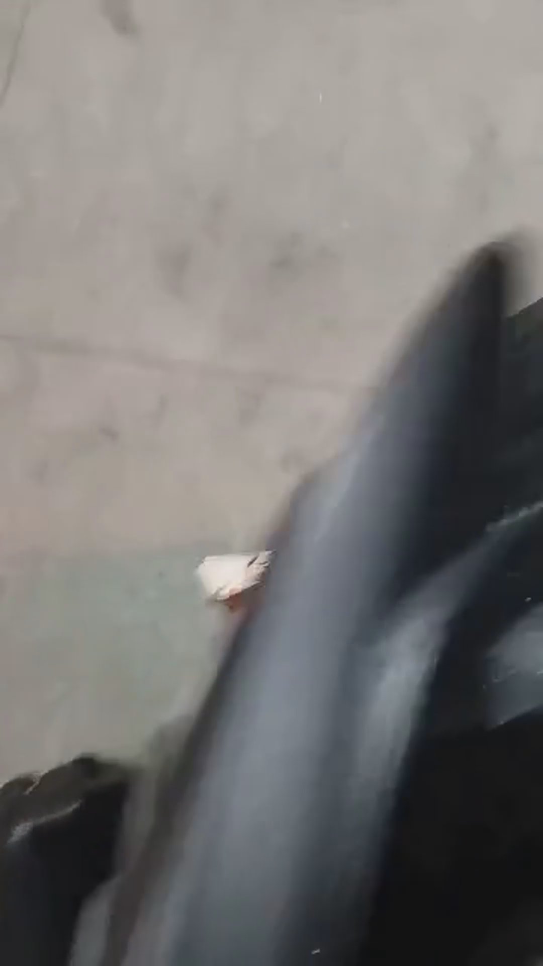 Walk-around video thumbnail
