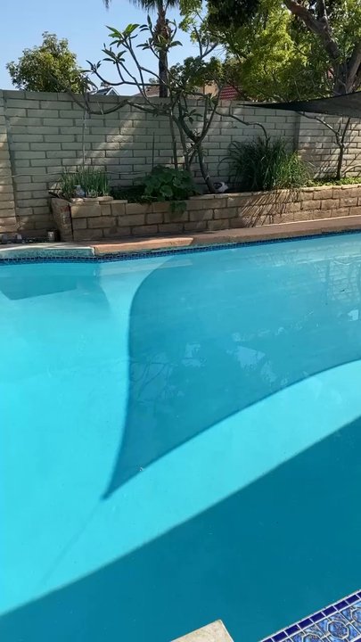 Quan's Pool - Pool Cleaners Near Me
