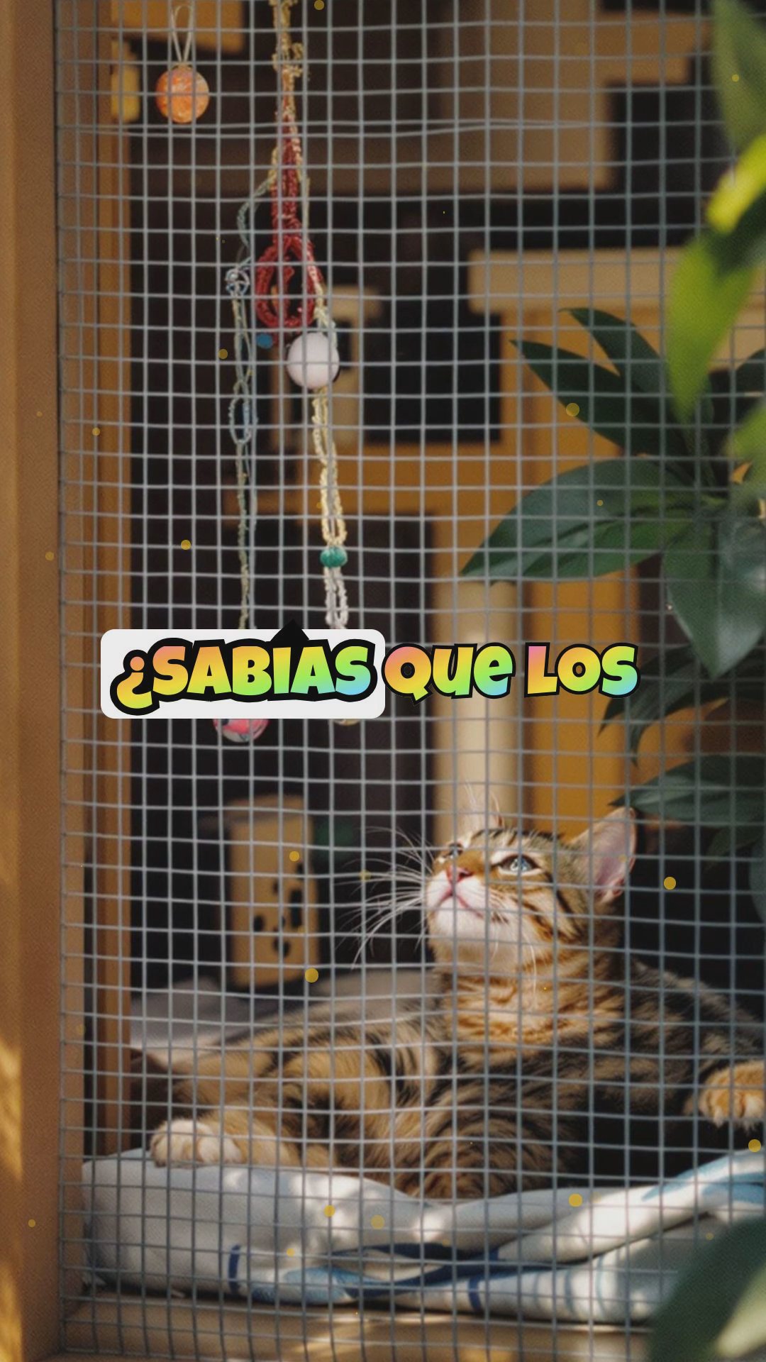 Catios: el paraíso felino en casas con perros