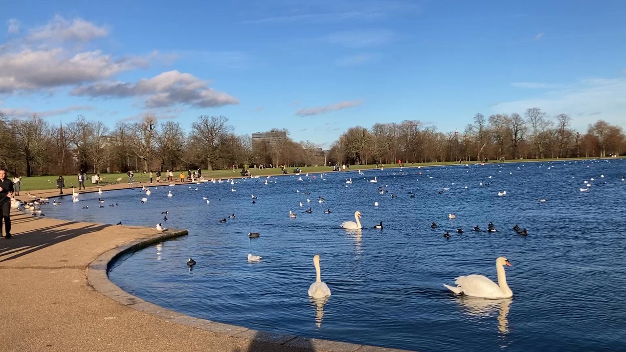Round Pond - Parks Near Me - London, XGL