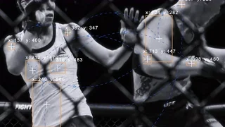 Fight Insight Engine