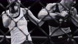 Fight Insight Engine