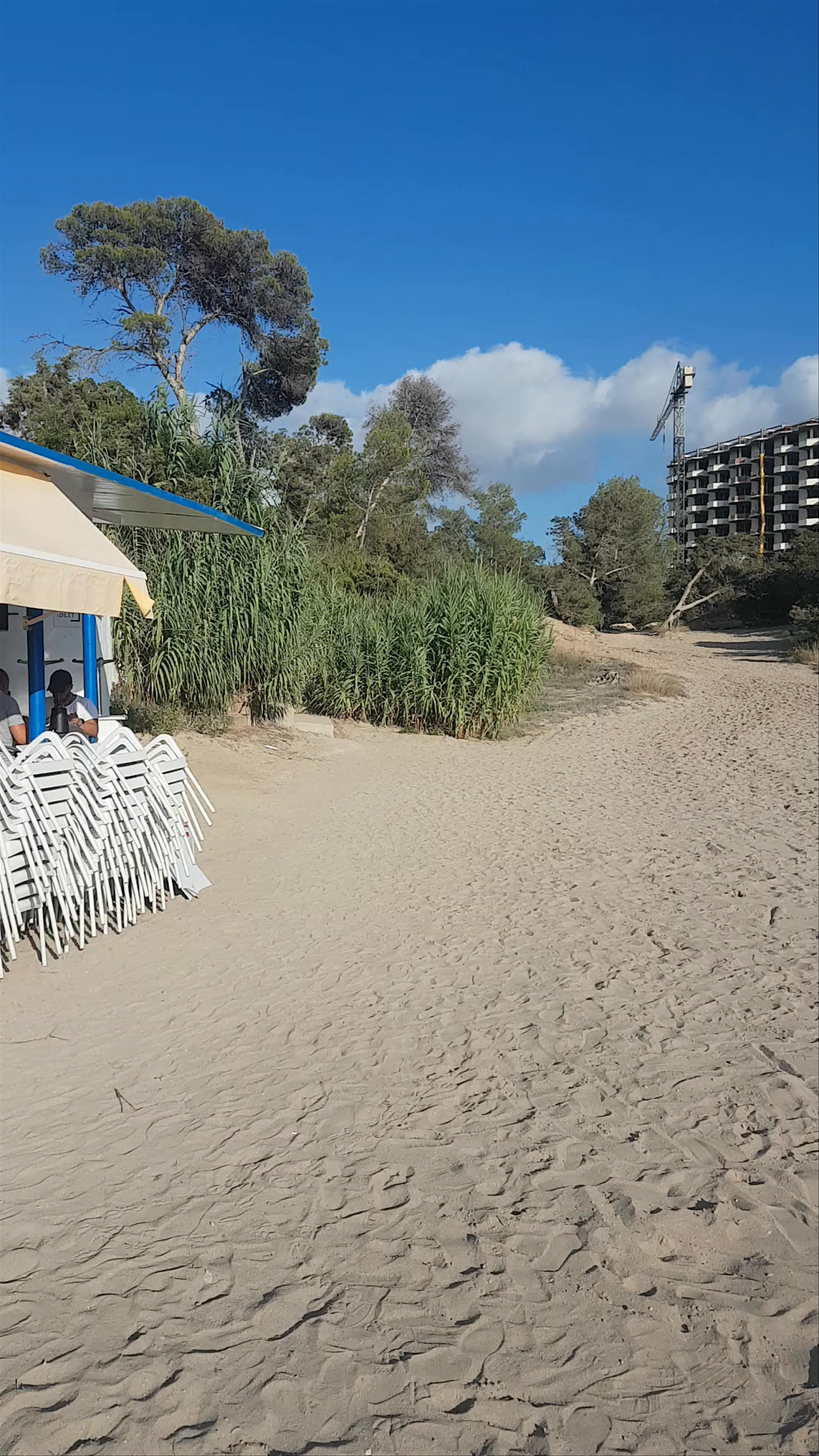 Relaxing Beachside Dining at Restaurant Sa Bresca in Cala Gració, Spain