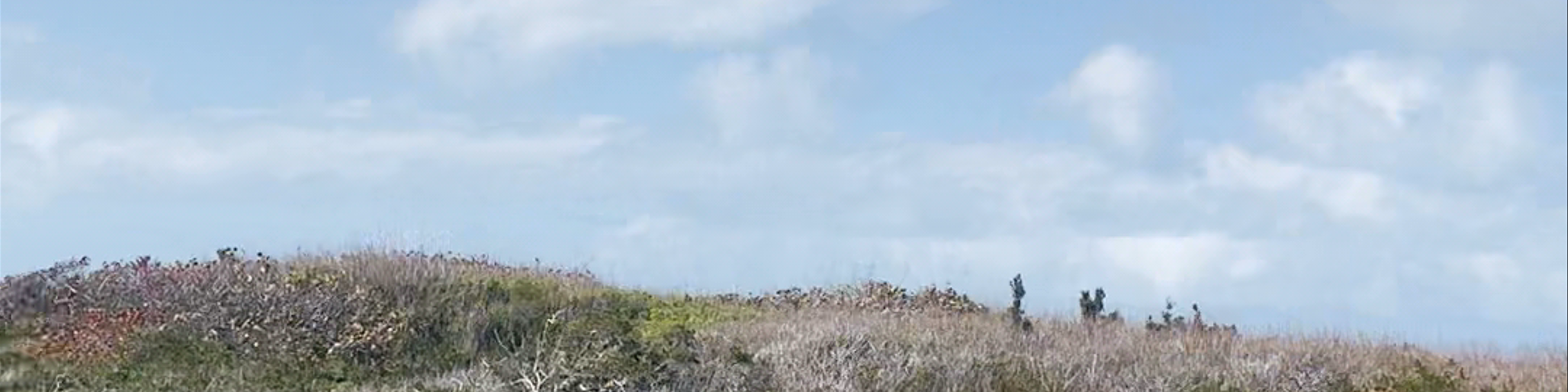 Bermuda