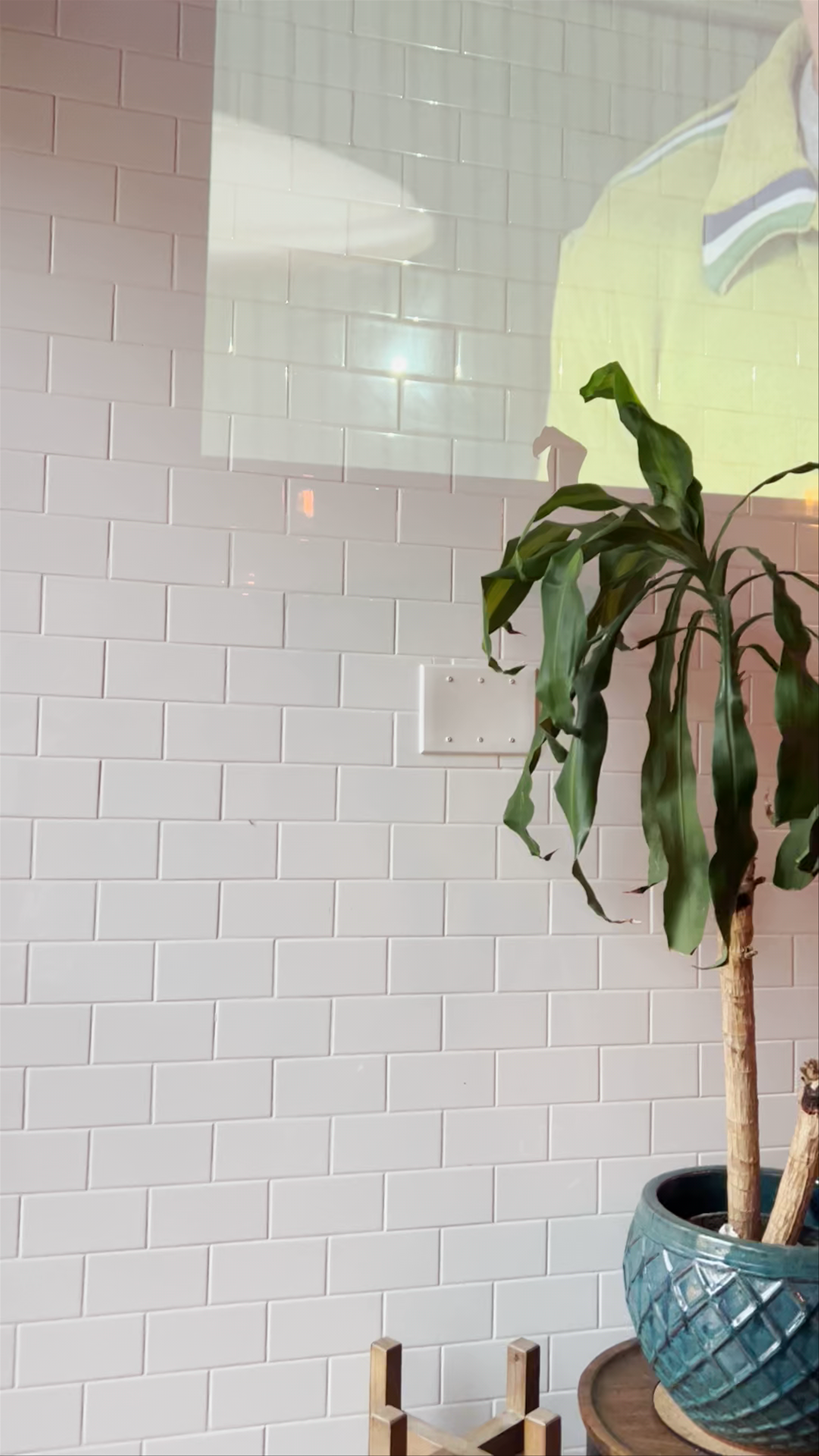 Three Monks and a Duck: Chic Vibes on Queen Street West, Toronto