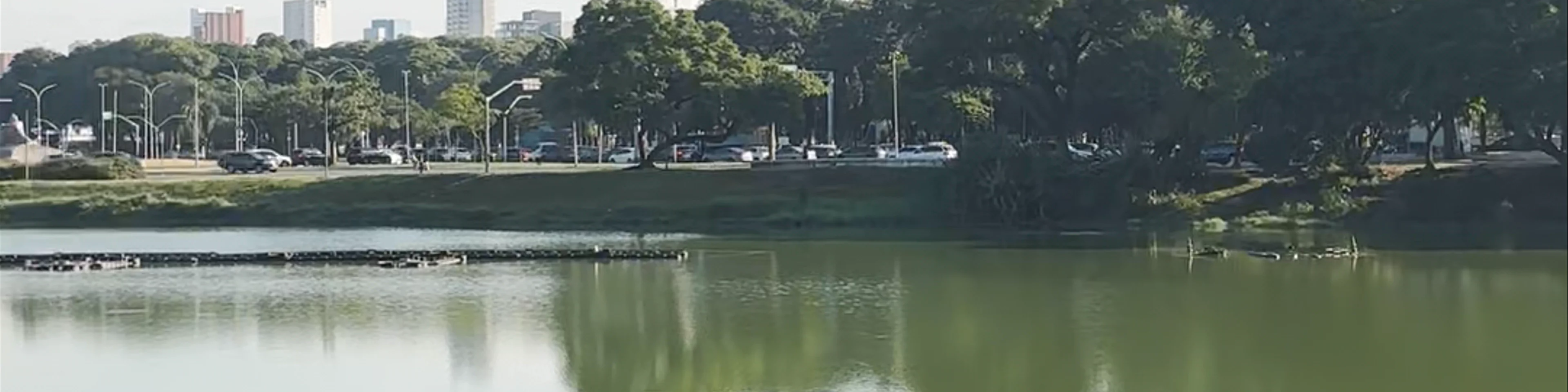 Parque Ibirapuera - Avenida Pedro Álvares Cabral - Vila Mariana