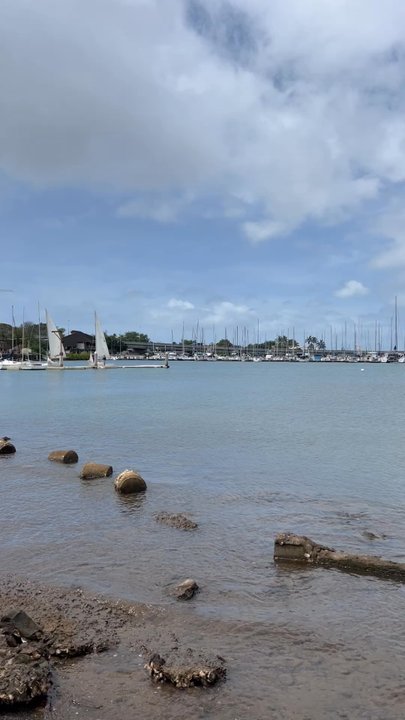 Rainbow Bay Marina - Marinas Near Me - Honolulu, Hawaii