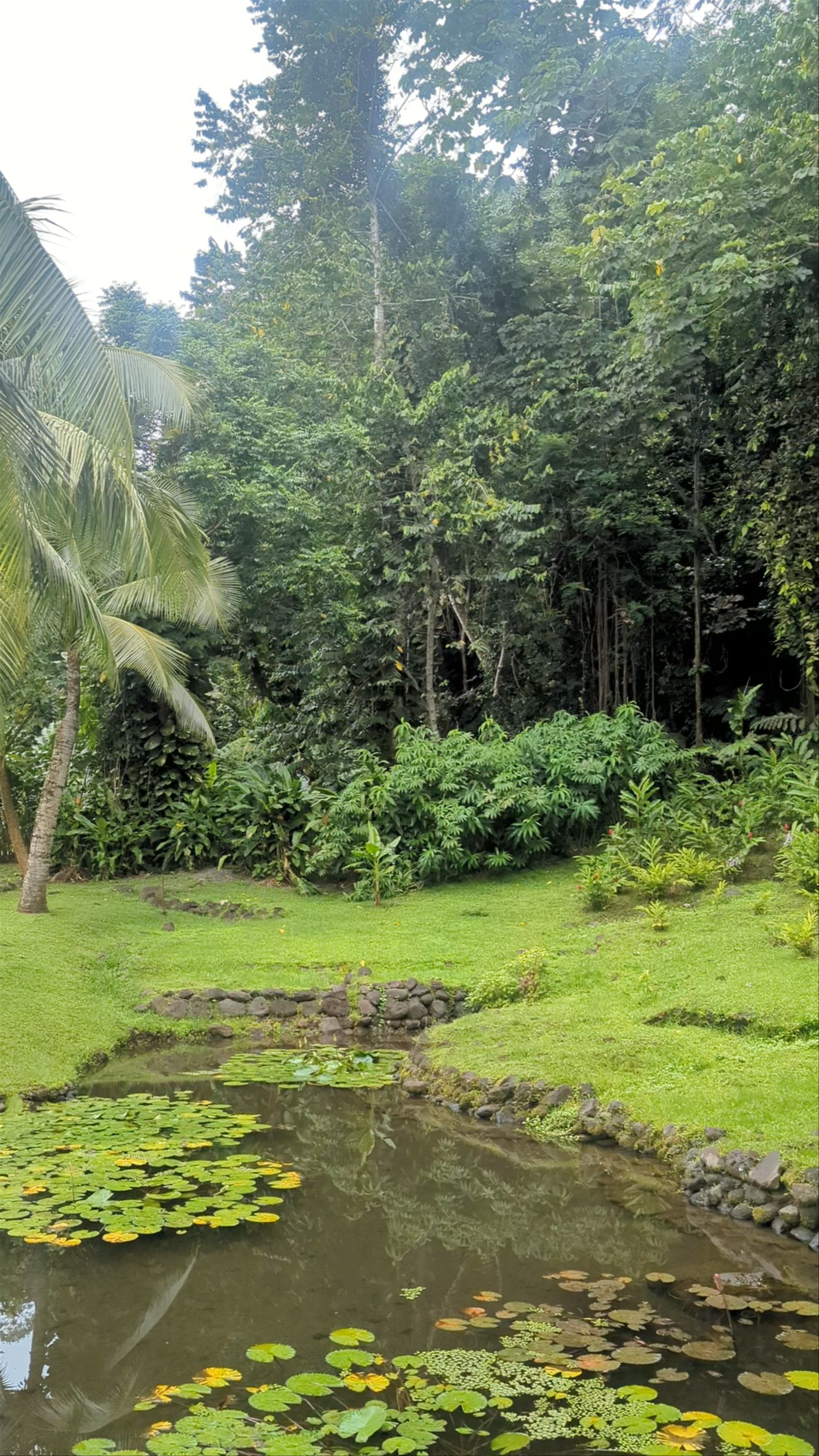 Water Gardens Vaipahi
