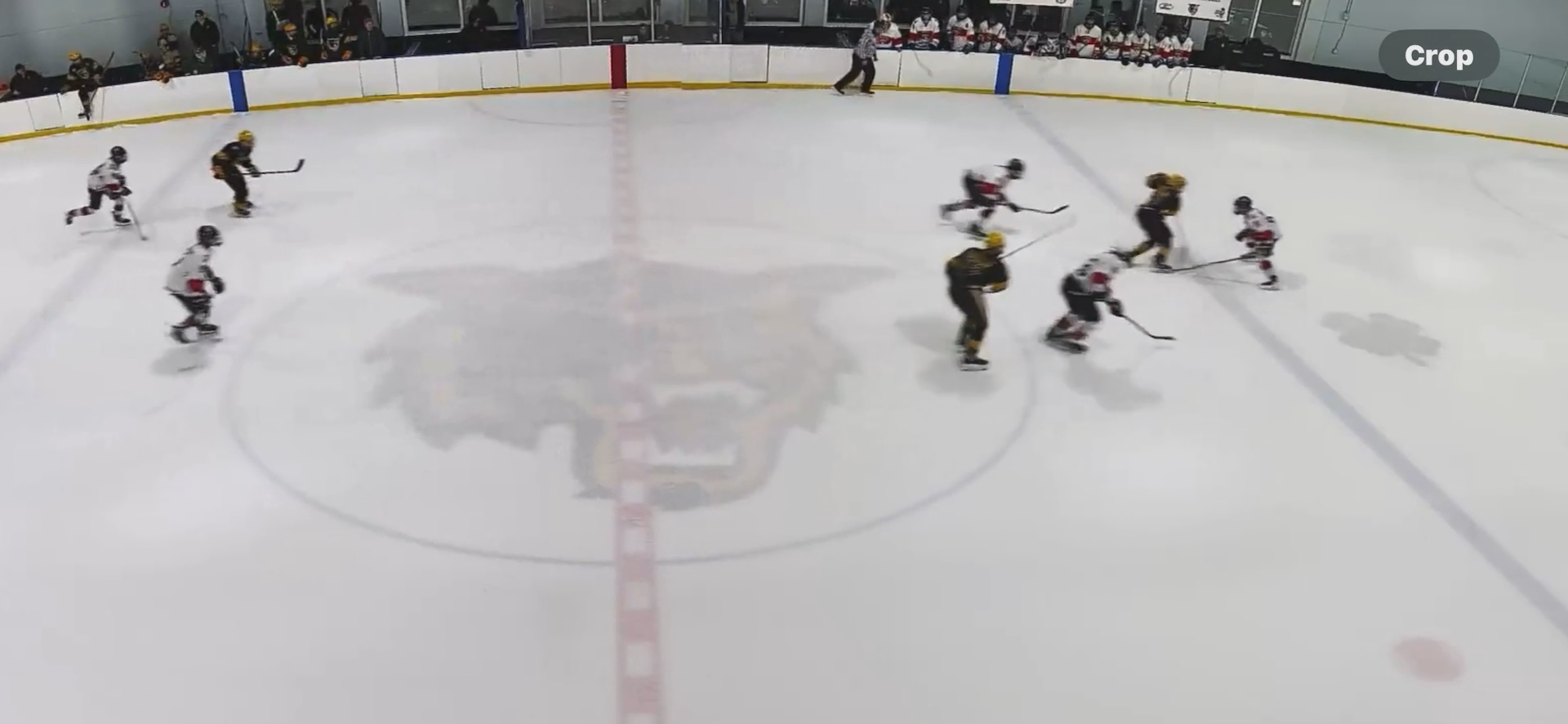 Chase Isrel's Stunning Coast-to-Coast Goal | South Florida Golden Wolves