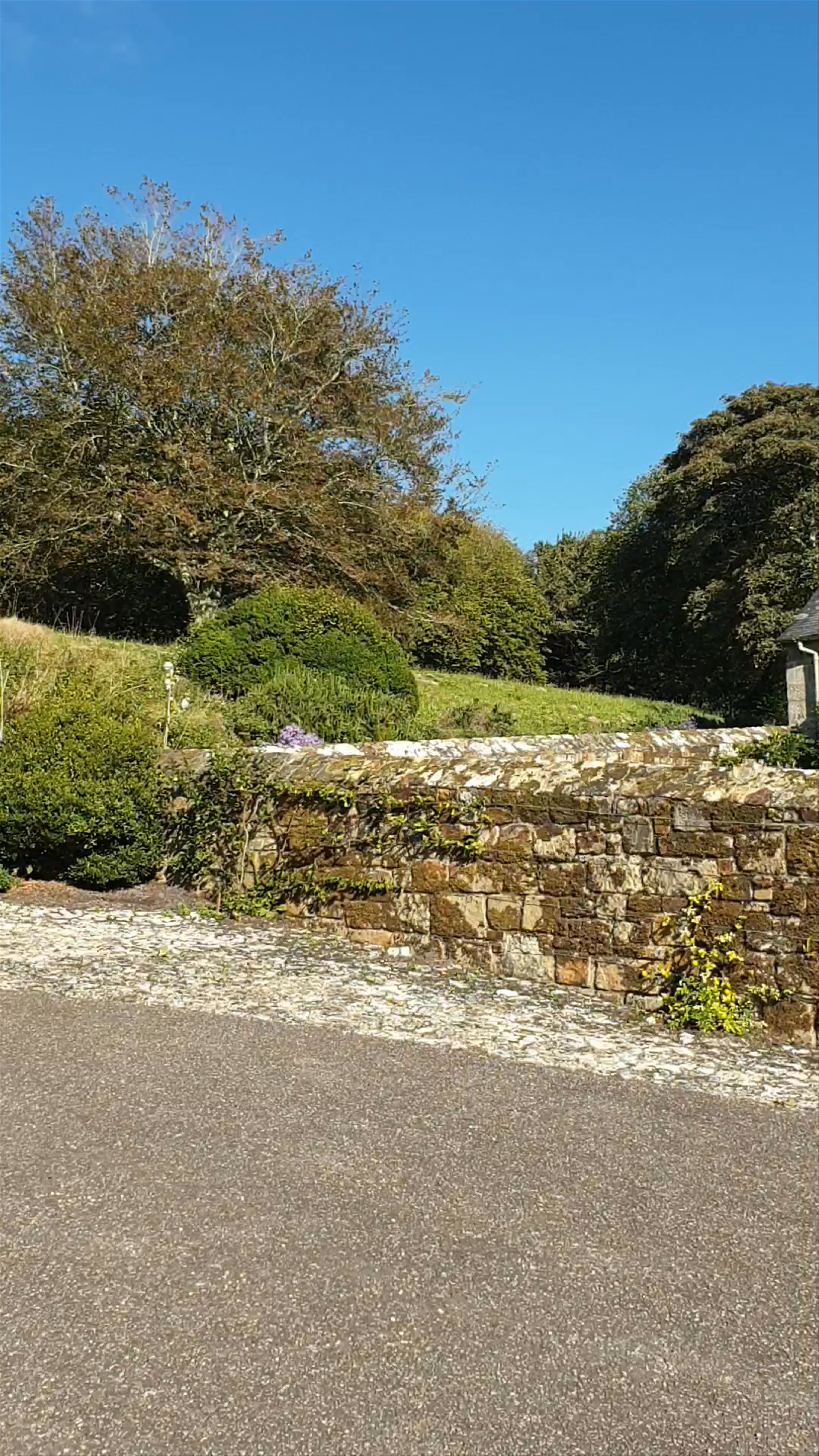 Trerice National Trust: Timeless Cornish Manor Experience