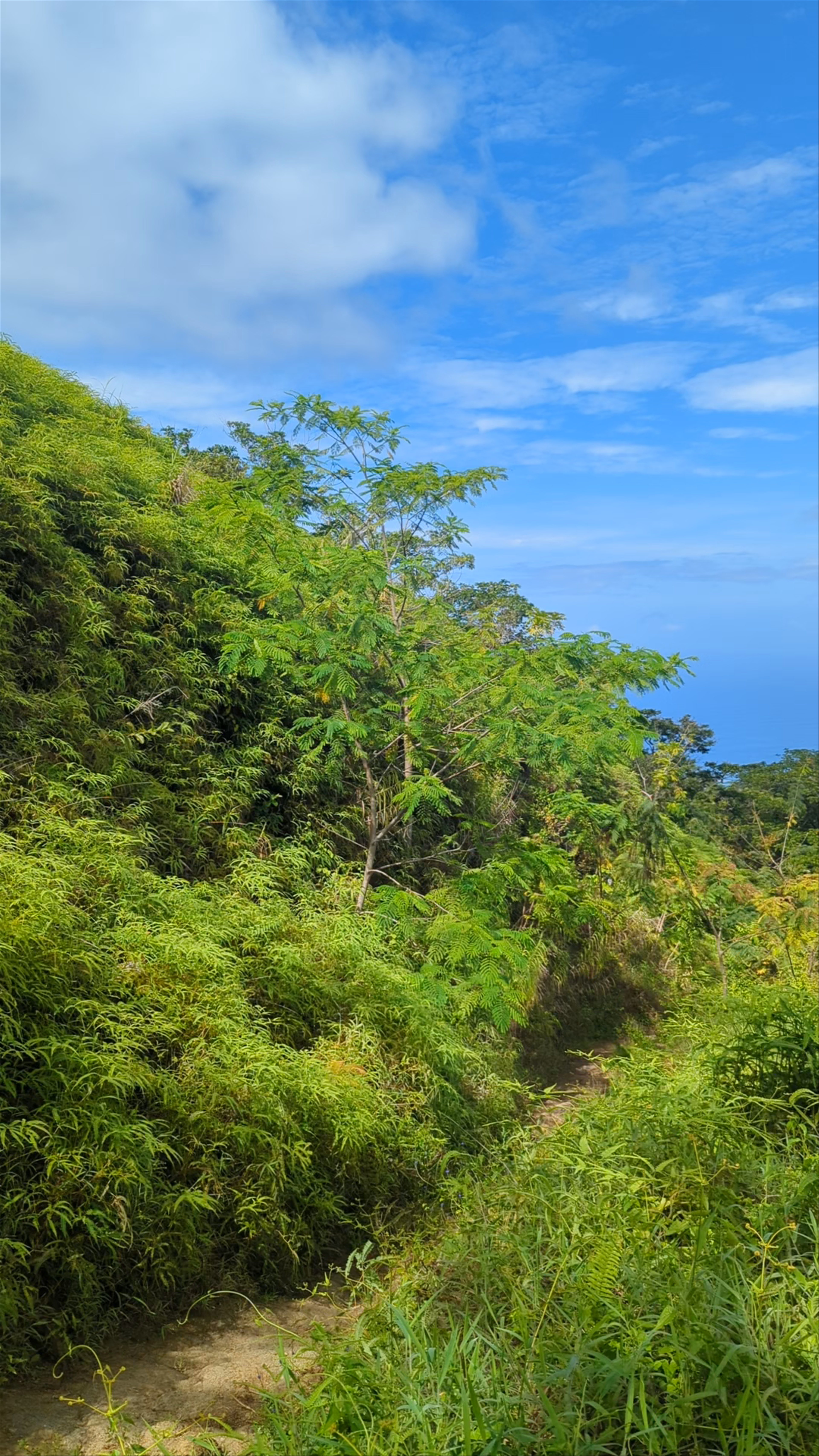 Montée au Mont Marau