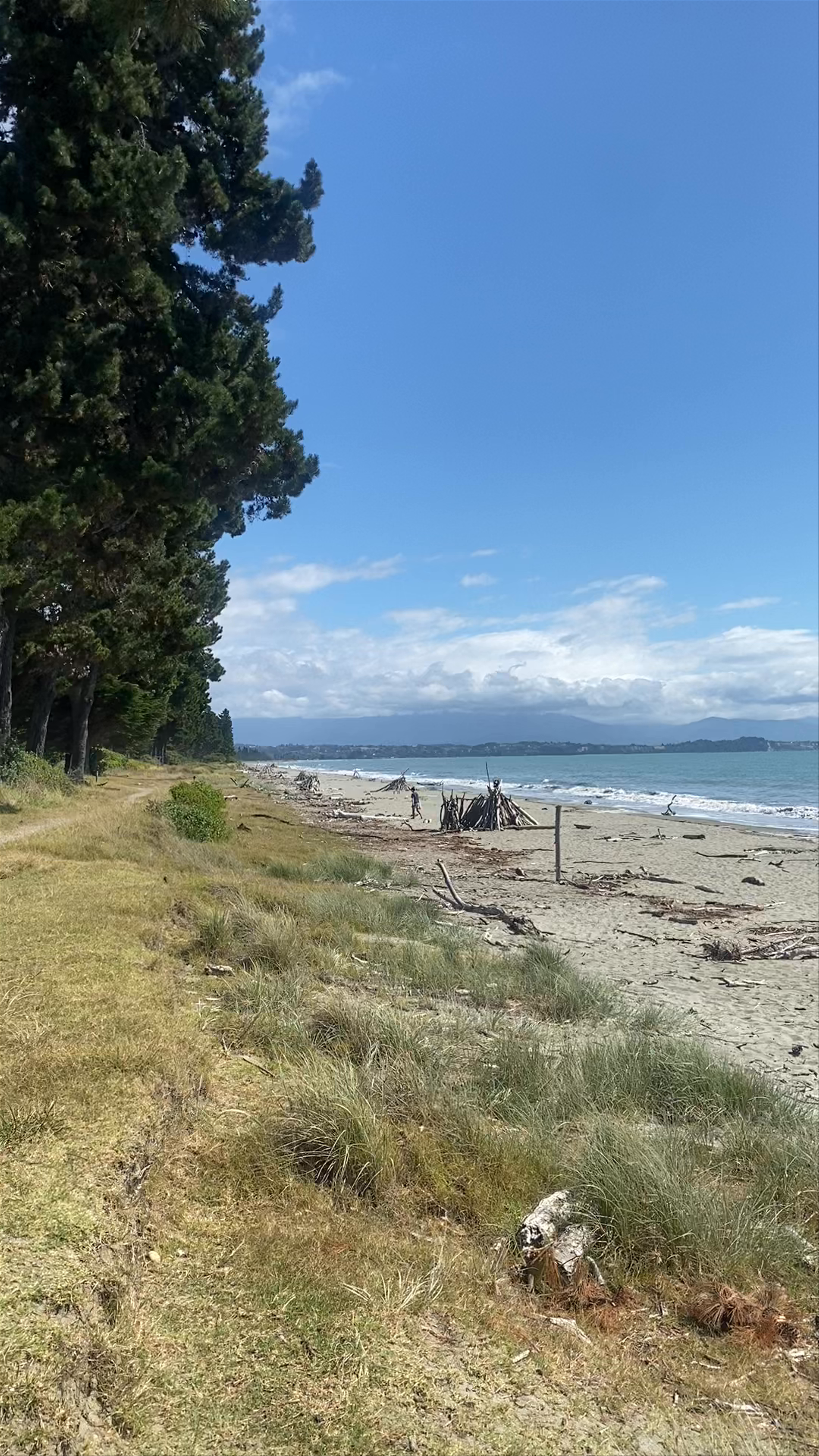 Moturoa / Rabbit Island