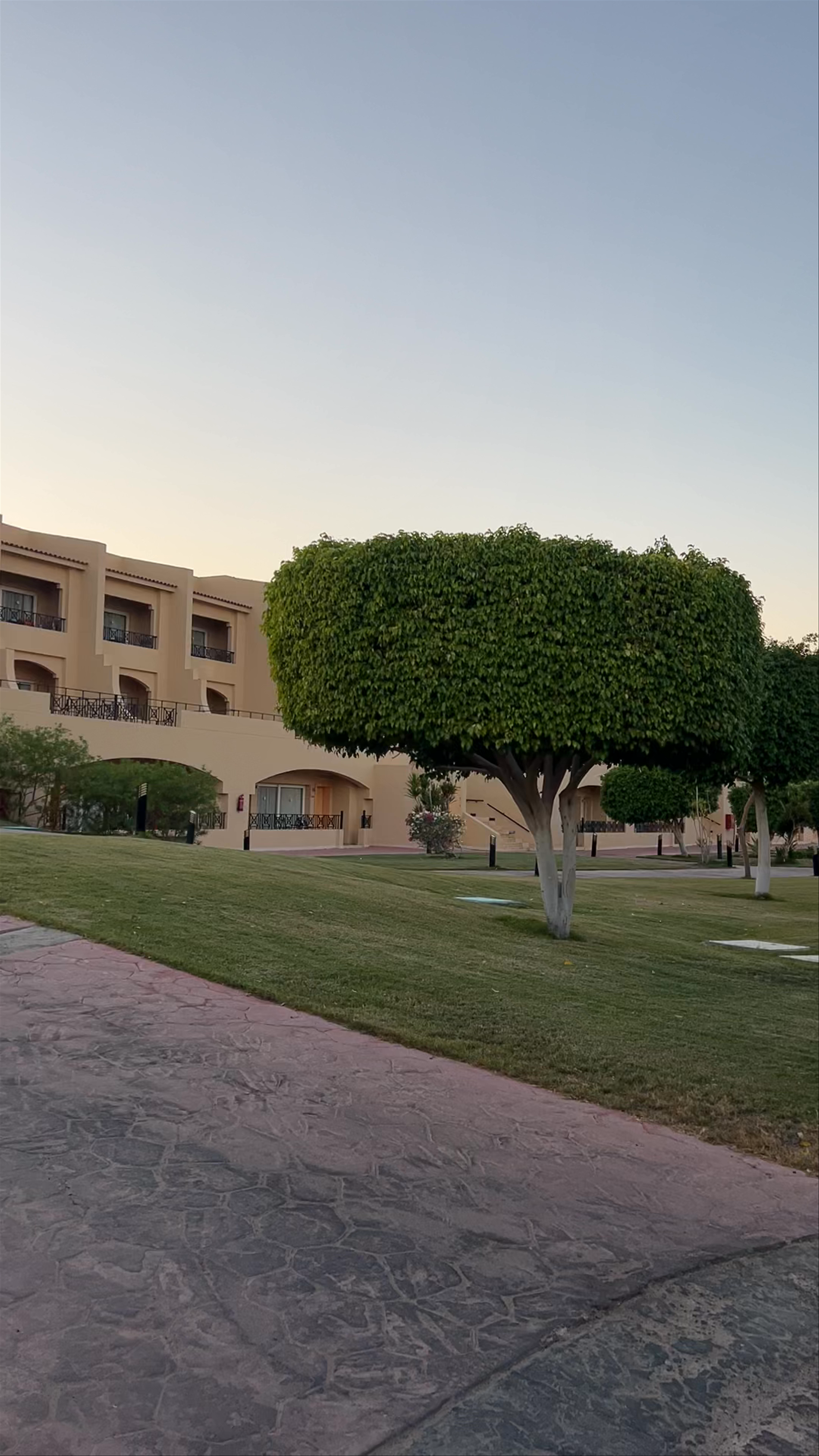 SUNRISE Royal Makadi Resort