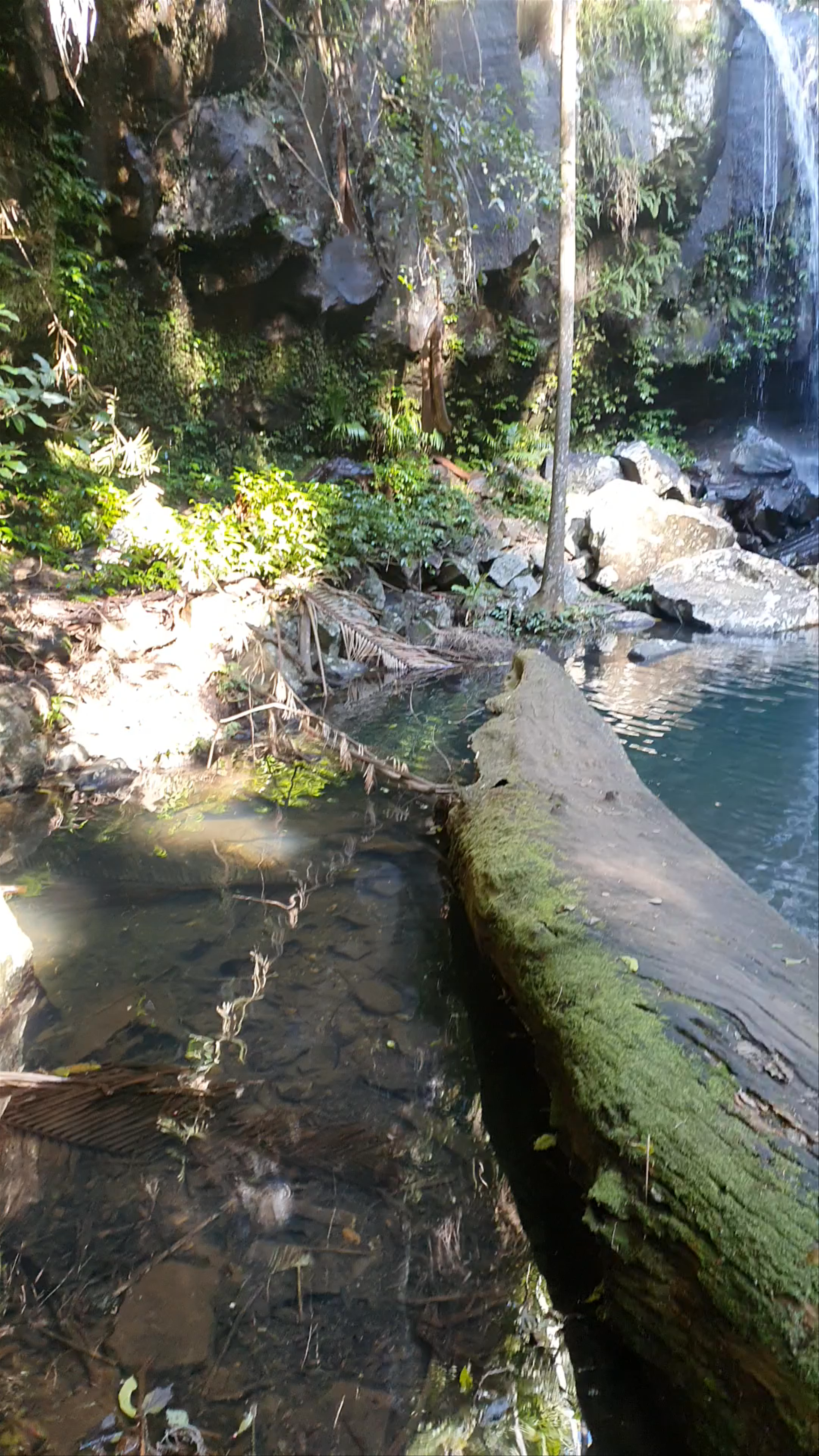 Purling Brook Falls