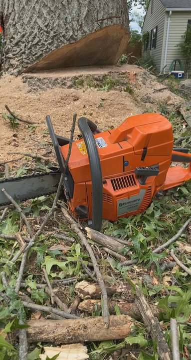 Ecoland Maintenance - Tree Services Near Me
