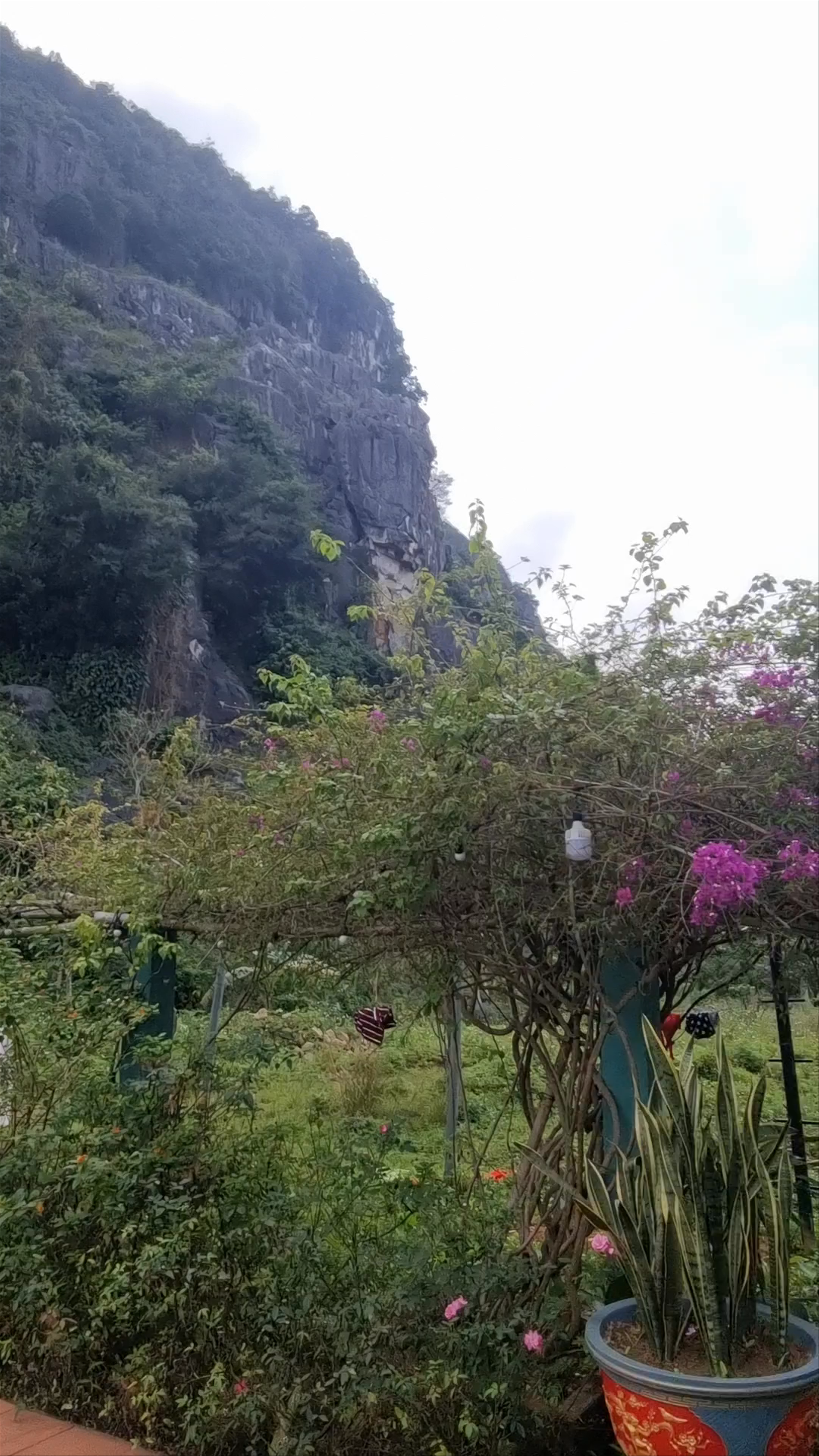 Central Backpackers Hostel - Phong Nha