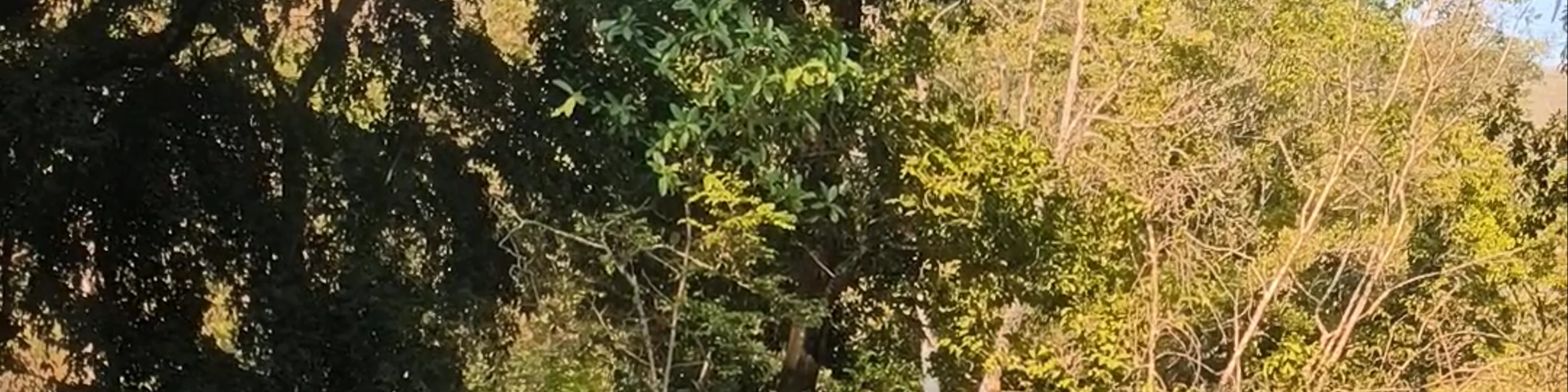 Centro Ecoturistico Cascadas el Chiflón