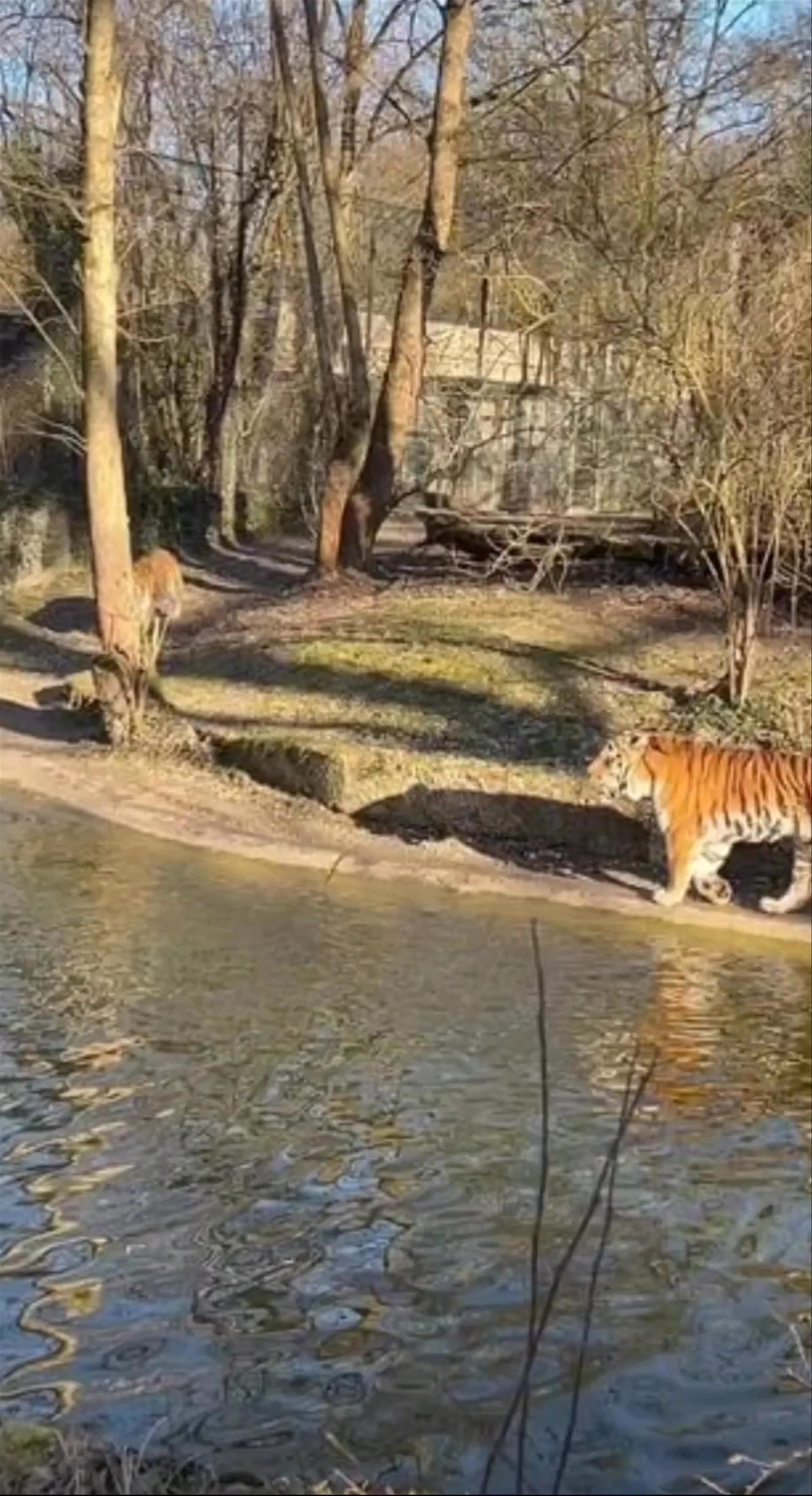 Hellabrunn Zoo